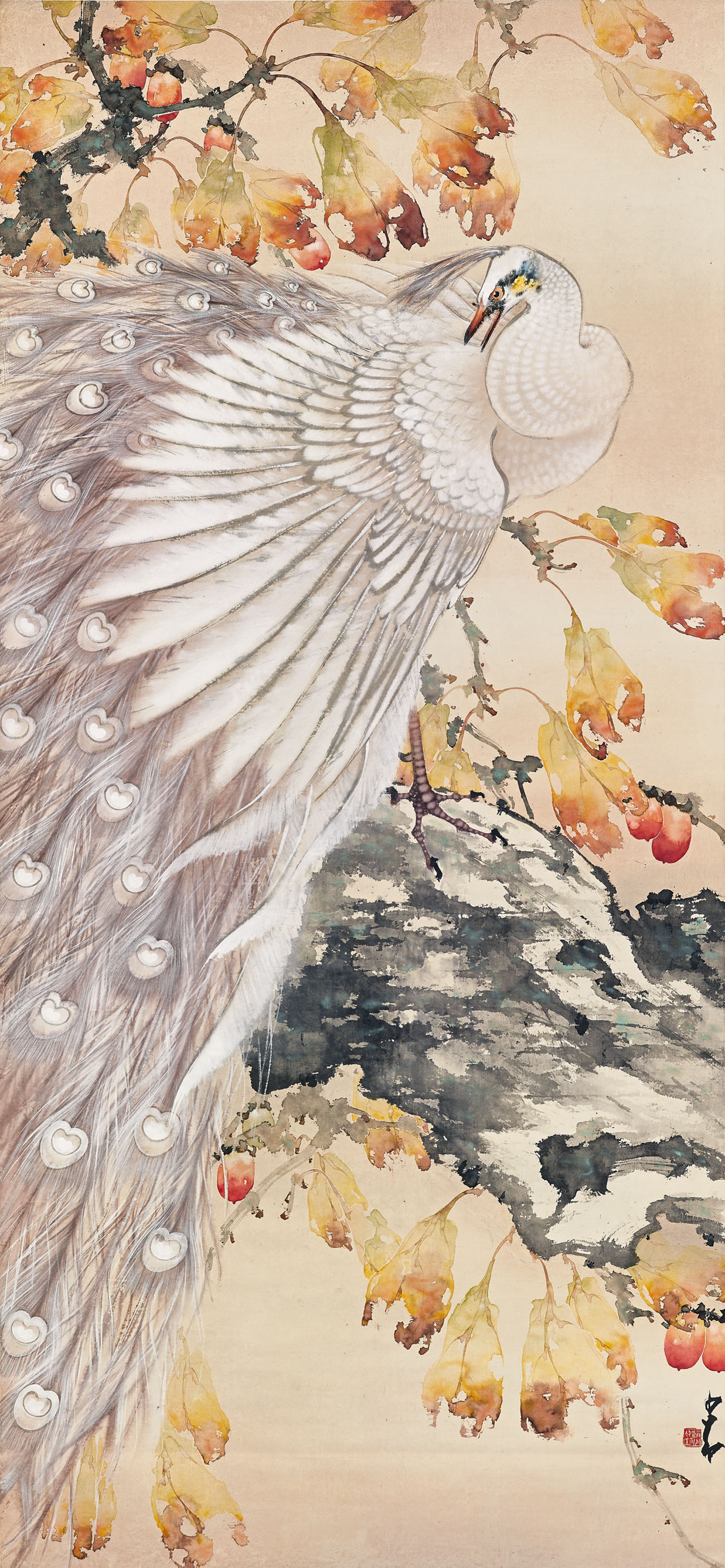 Zhao Shao Ang 1905 1998 White Peacock And Red Persimmon 20th