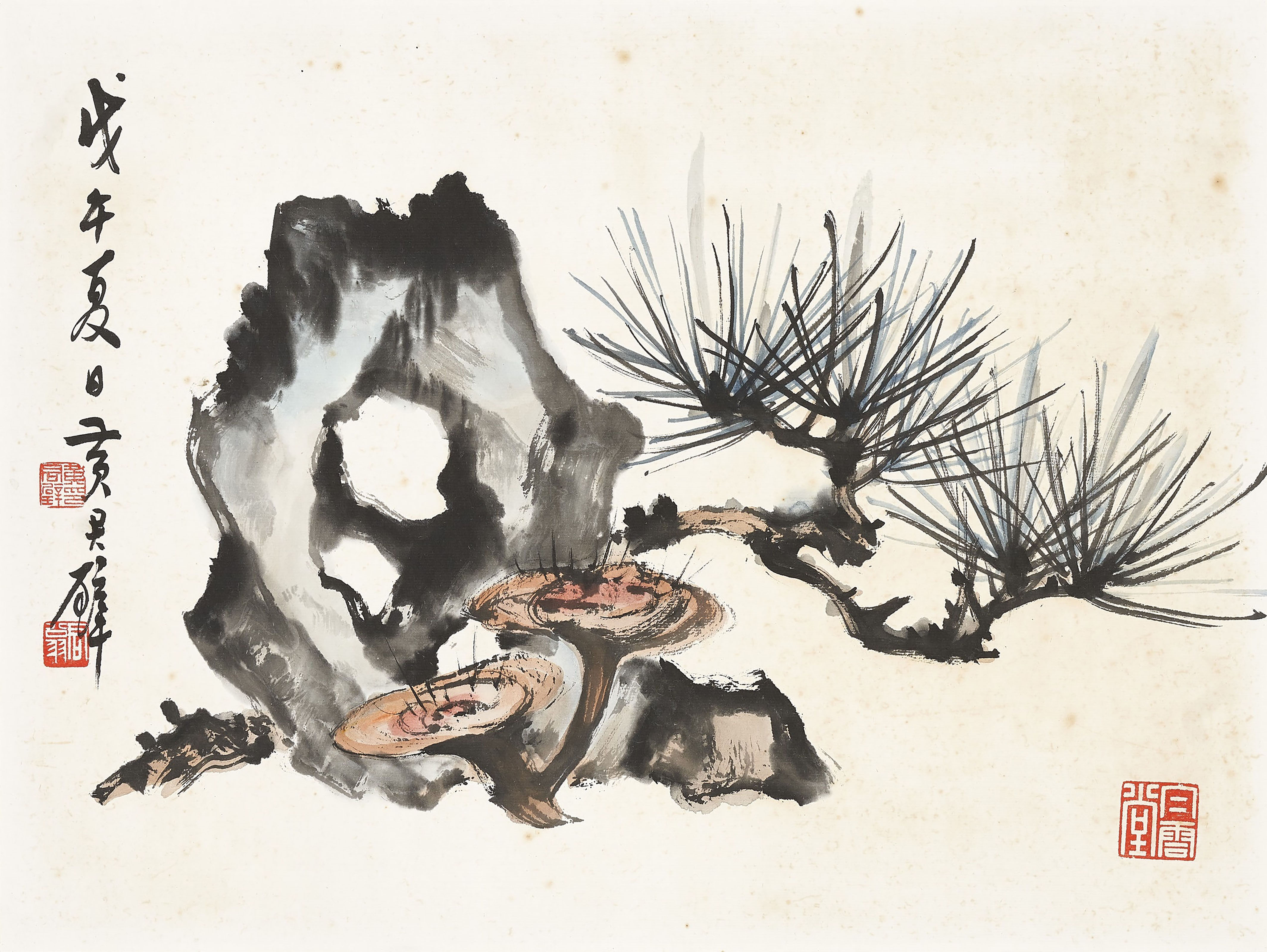Catalog image of Pine Tree and Ganoderma