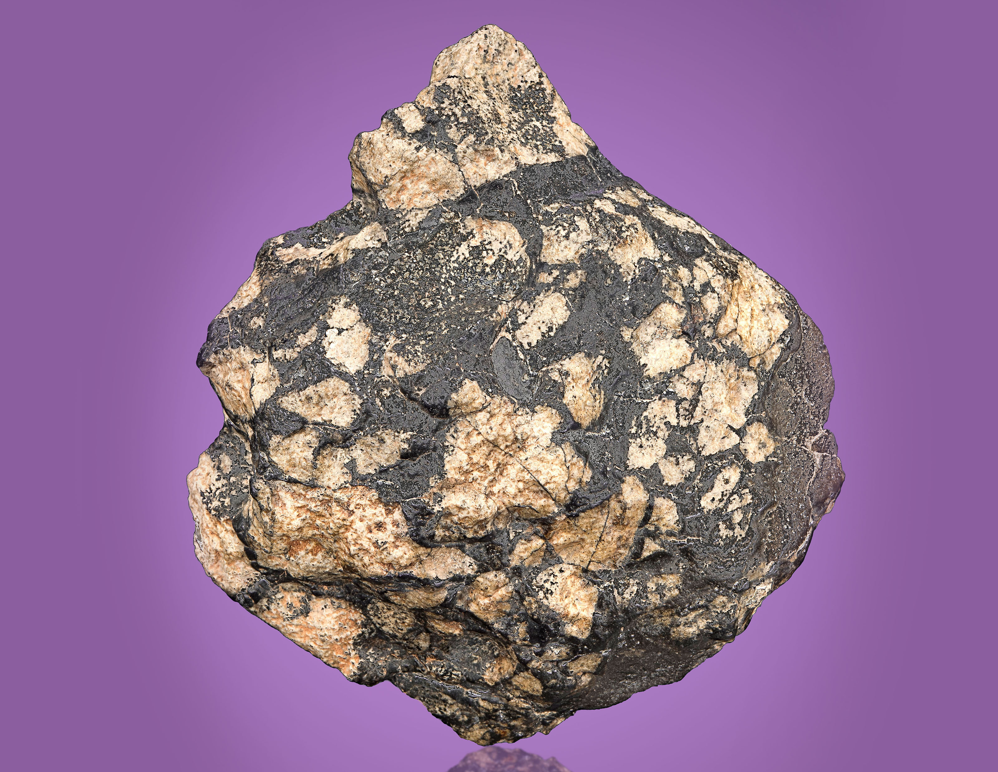 A PALM-SIZED END PIECE FROM THE SURFACE OF THE ASTEROID VESTA