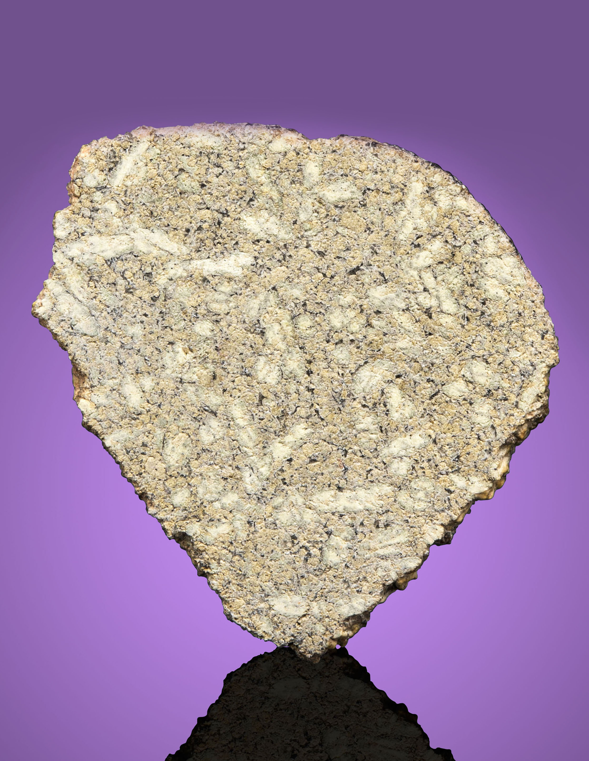 NWA 10697 — COMPLETE SLICE OF A ROCK FROM THE PLANET MARS