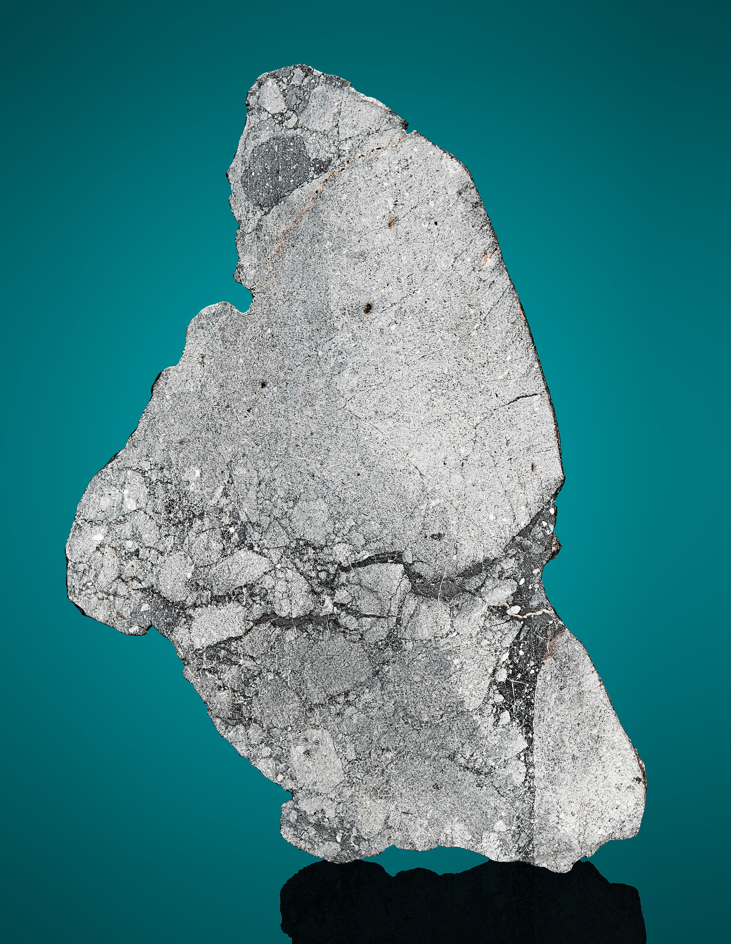 NWA 12587 — THE ONLY COMPLETE SLICE FROM THE LARGEST PIECE OF