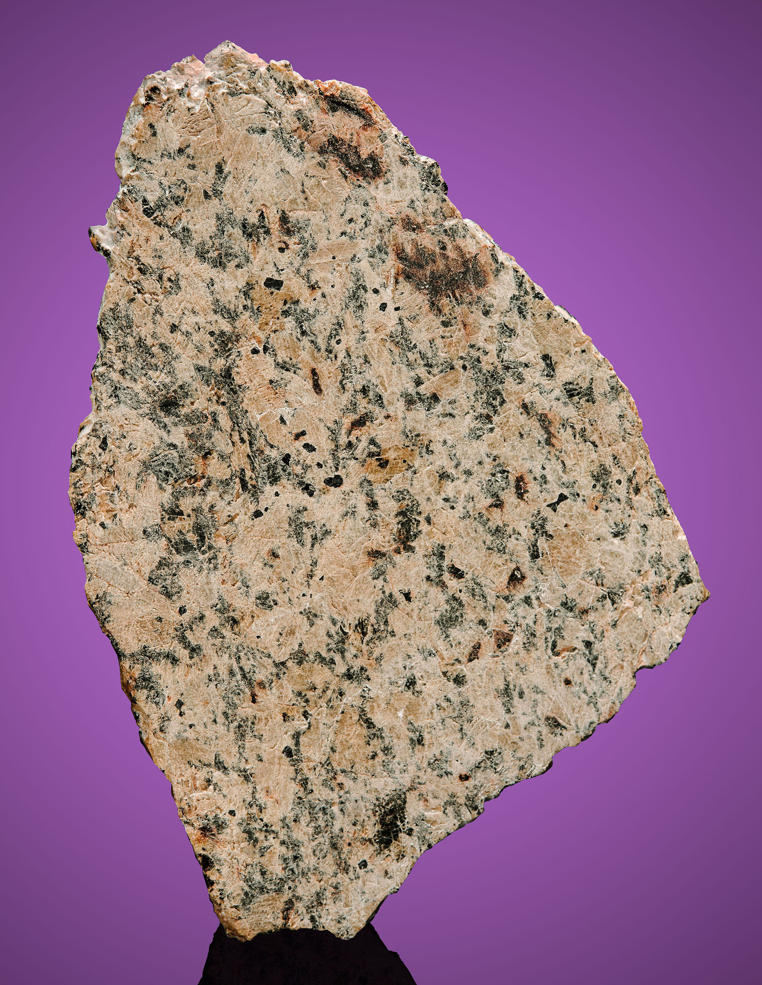 A COMPLETE MOON ROCK — NWA 10495, Lunar meteorite