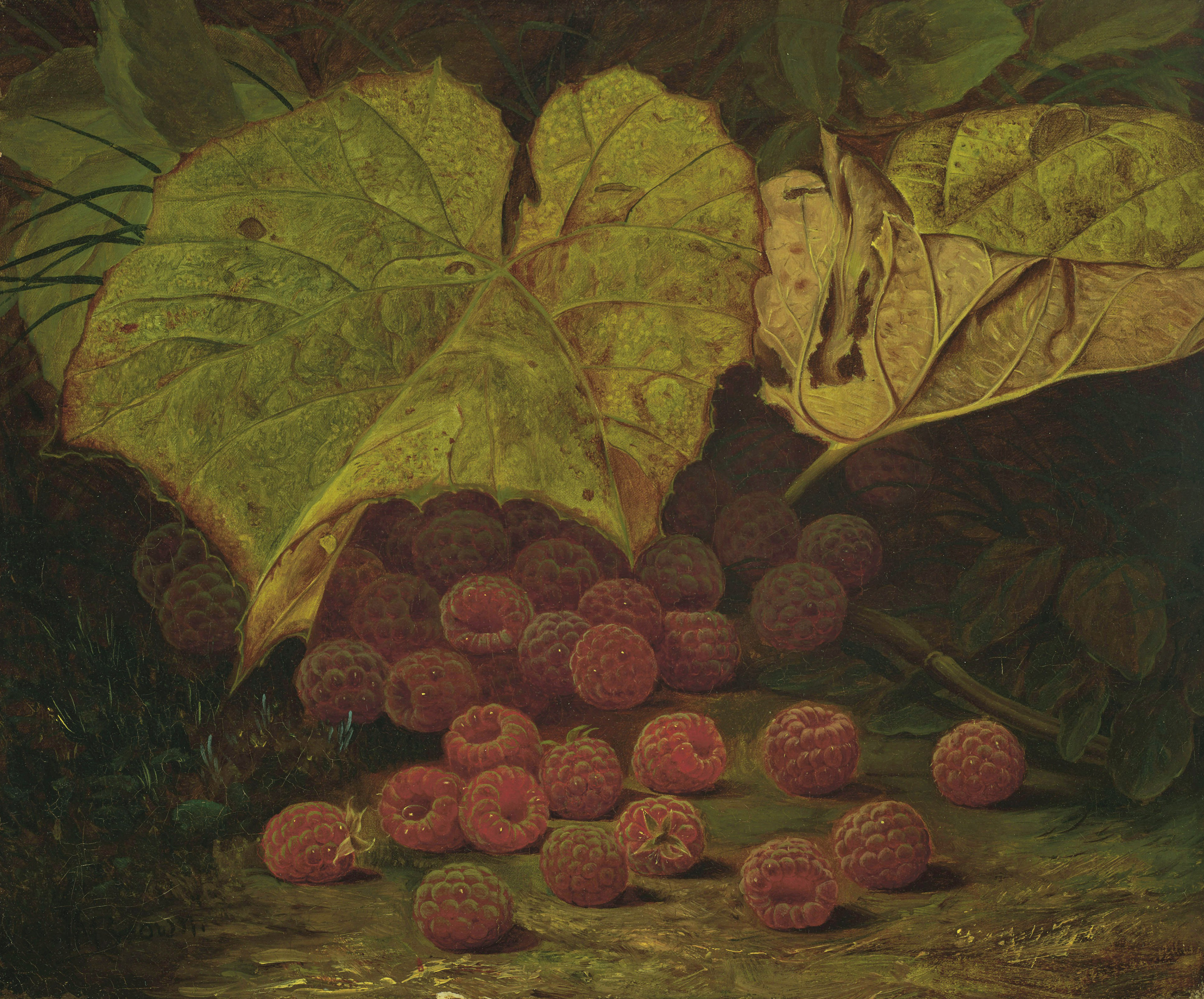 Catalog image of Raspberries Among the Leaves