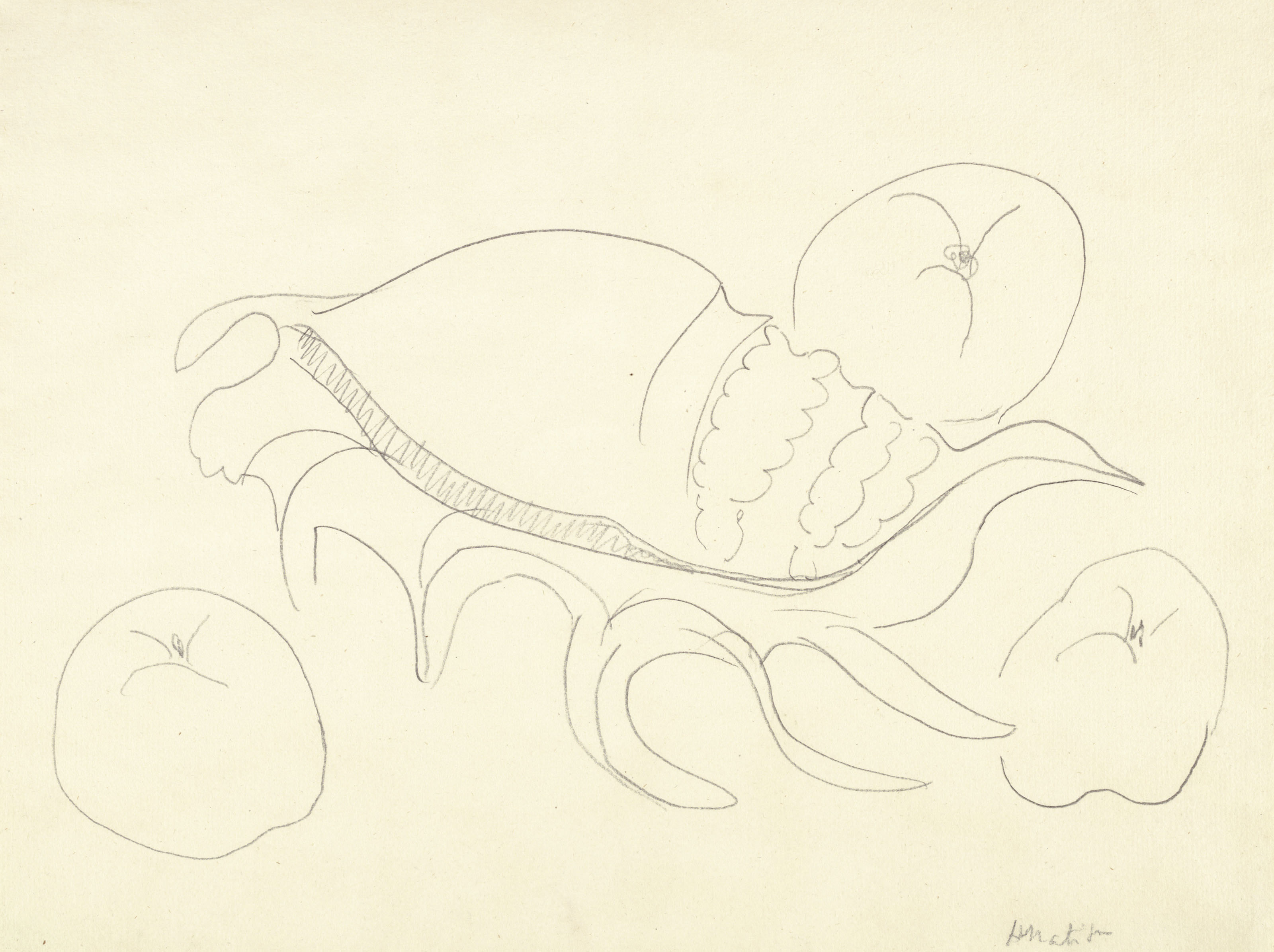 Coquillage et fruits