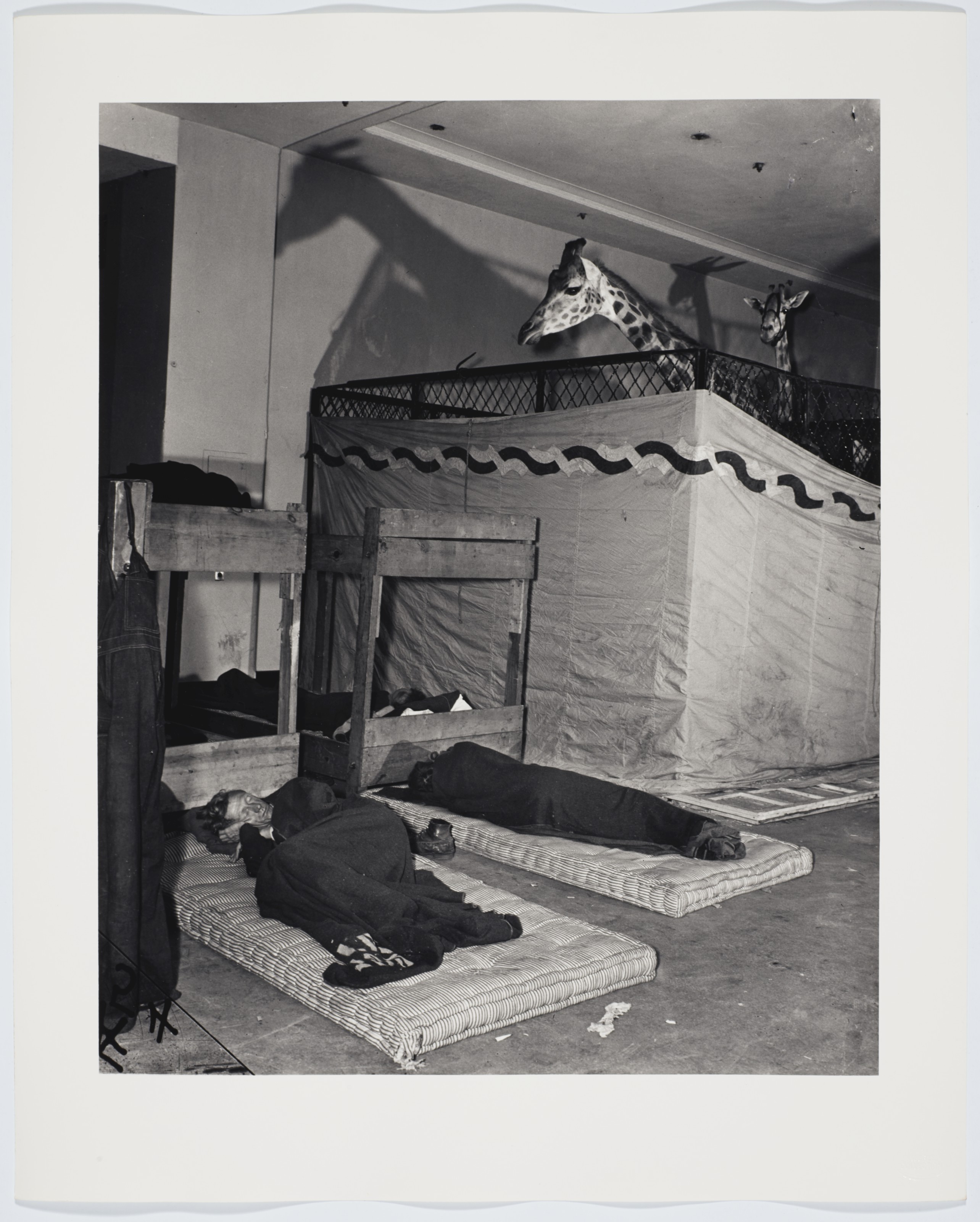 Weegee Portfolio - Thumb 43