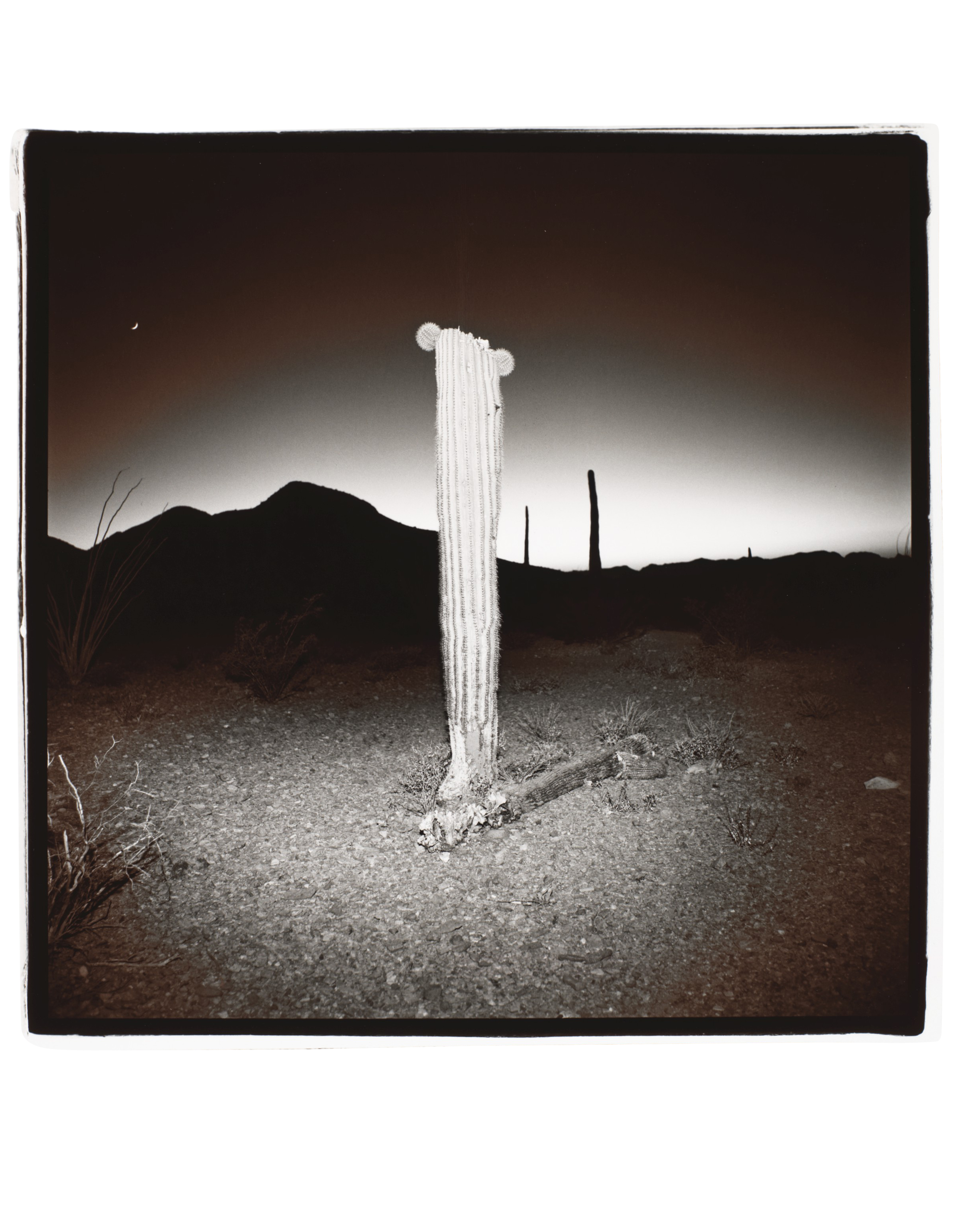 Paul Outerbridge Jr. ポール・アウターブリッジ・ジュニア Paul Outerbridge Jr. ポール・アウターブリッジ・ジュニア Paul