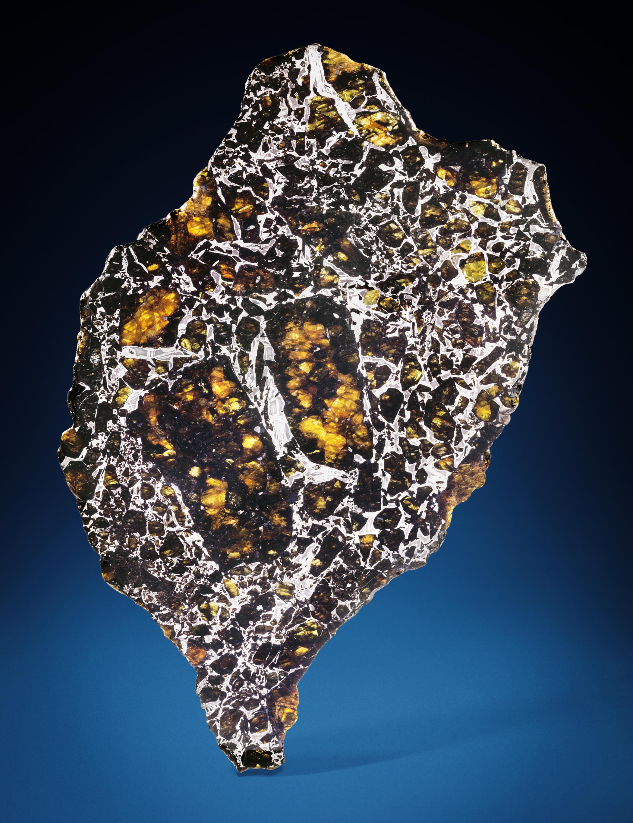 COMPLETE SLICE OF THE ADMIRE PALLASITE, PAL Pallasite Admire, Lyon County, Kansas (38° 42' N