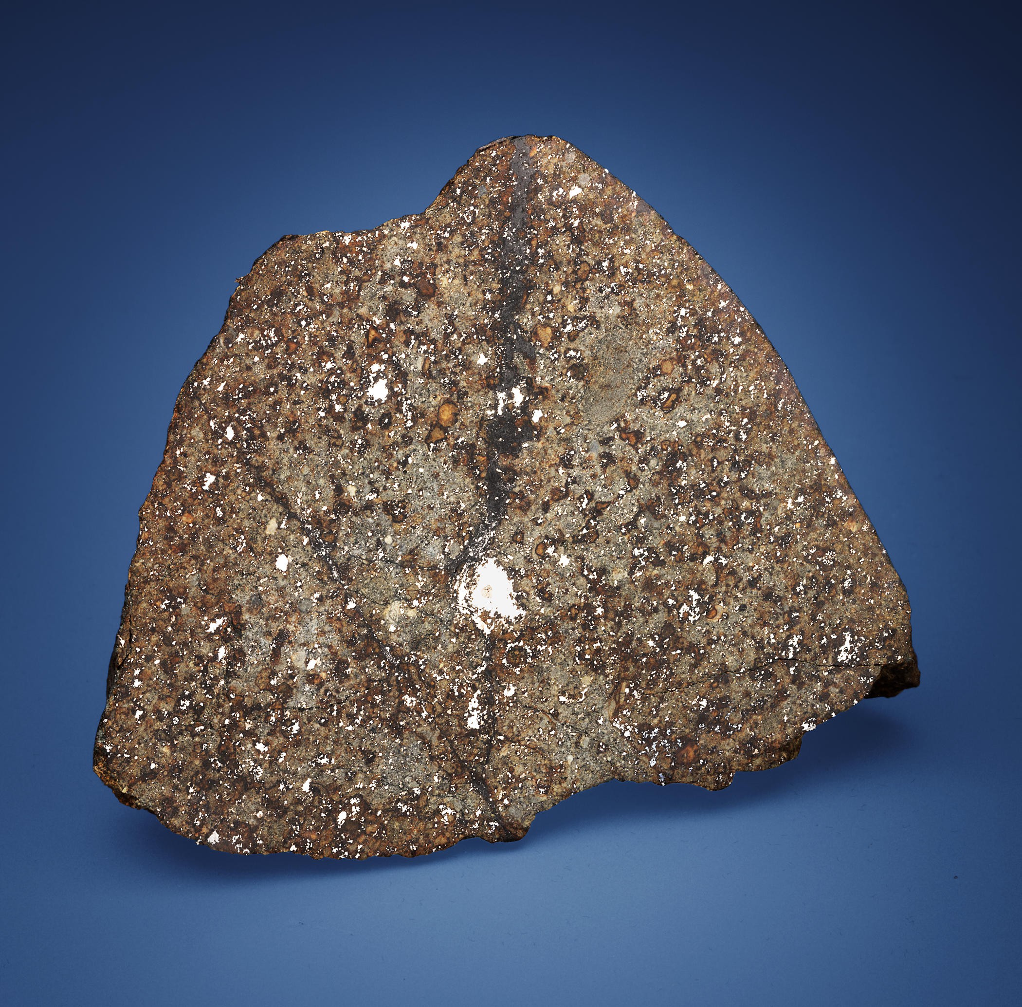 Salerno Meteorite Identification One Of The Rarest Meteorites Has