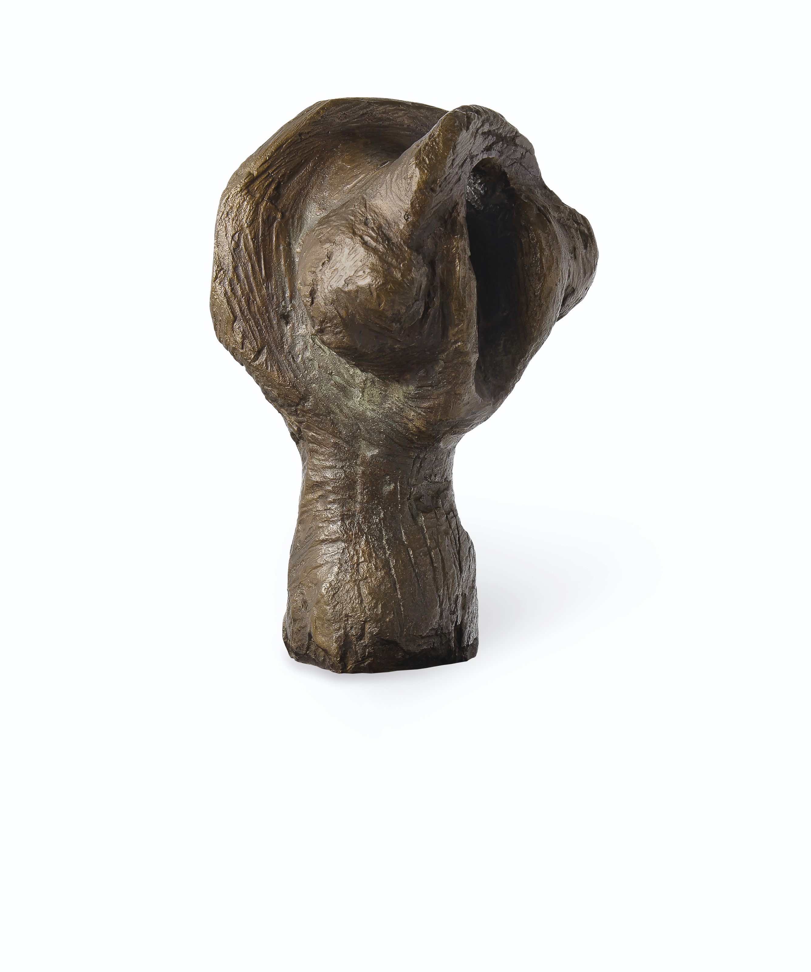 Study for Head of a Warrior