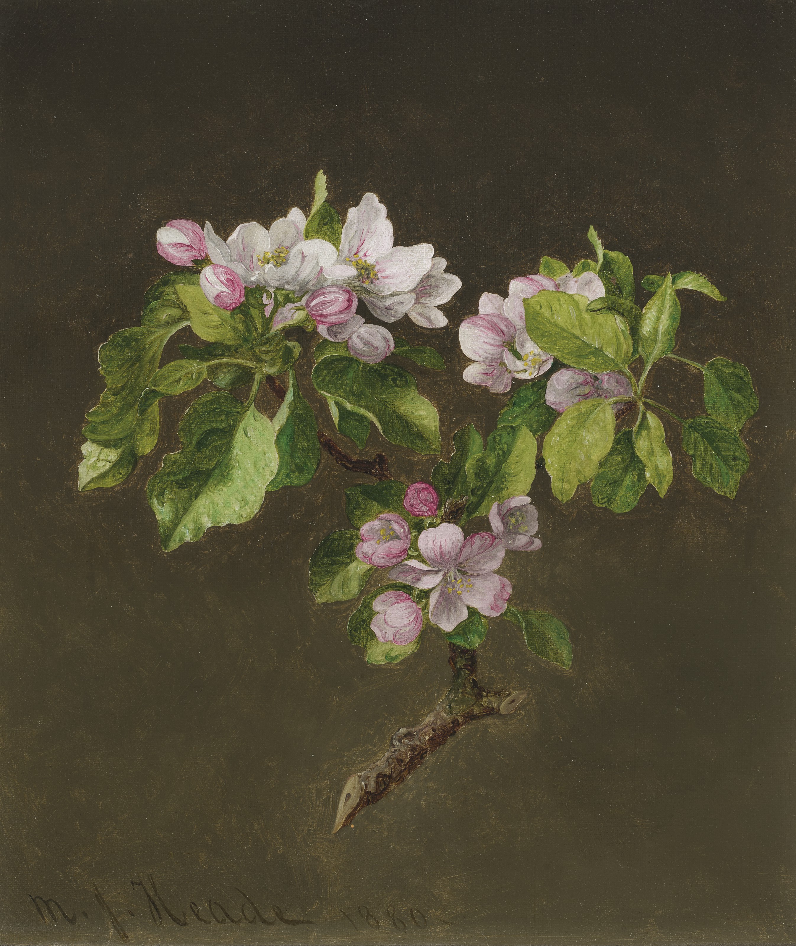 Martin Johnson Heade (18191904)
