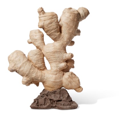 陆文霞及卢剑星制生姜壶