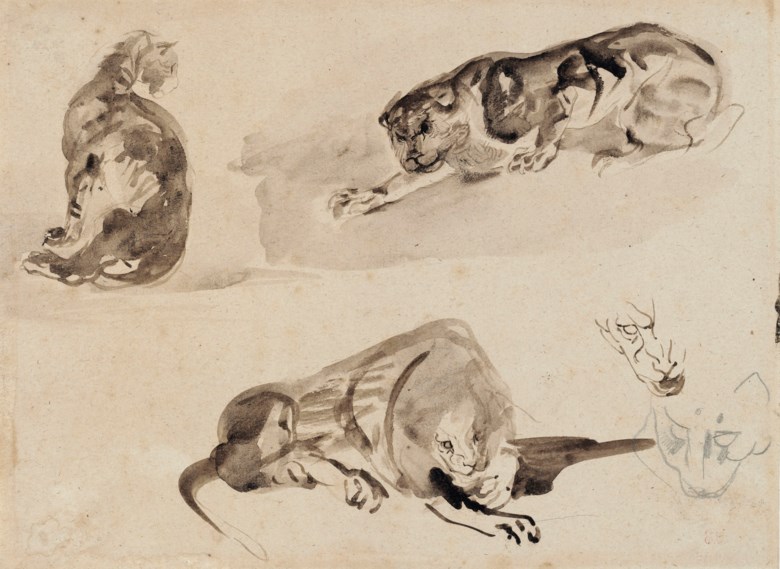 尤金‧德拉克羅瓦(1798-1863)，《一隻貓和兩隻獅子習作》。石墨 畫筆 啡色水彩。23.3 x 31.6公分。此作於2019年3月27日在佳士得巴黎售出，成交價21,250歐元