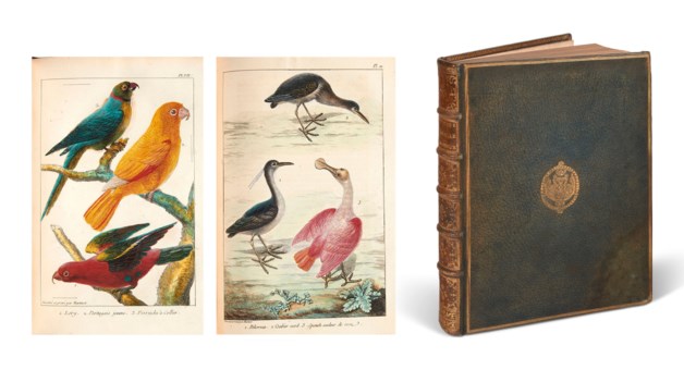 Signification Et Symbole De La Fleur De Lotus Bouddhisme