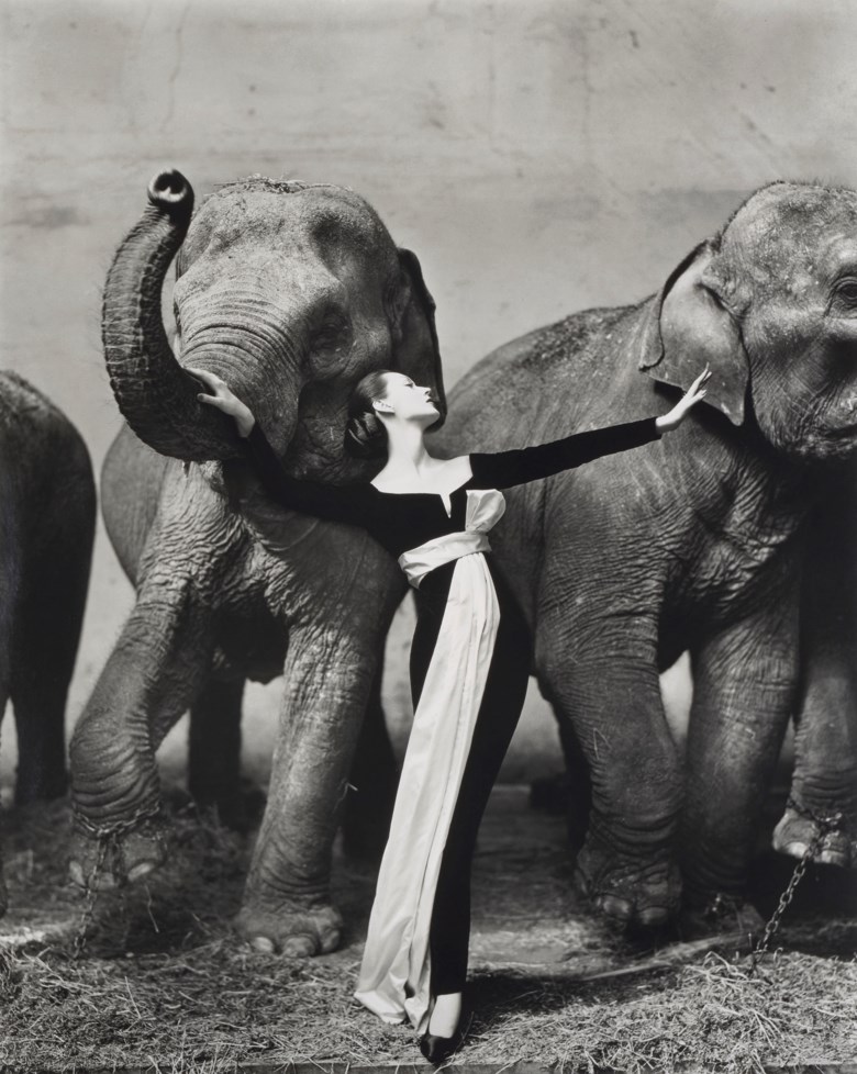 Richard Avedon (1923-2004), Dovima with Elephants, Evening Dress by Dior, Circus dHiver, Paris, 1955. Image  sheet  mounting 130.5 x 104  cm (51⅜ x 41  in). Estimate €250,000-350,000. Offered in Icons of Glamour & Style The Constantiner Collection on June 19 2019 at Christie’s in Paris