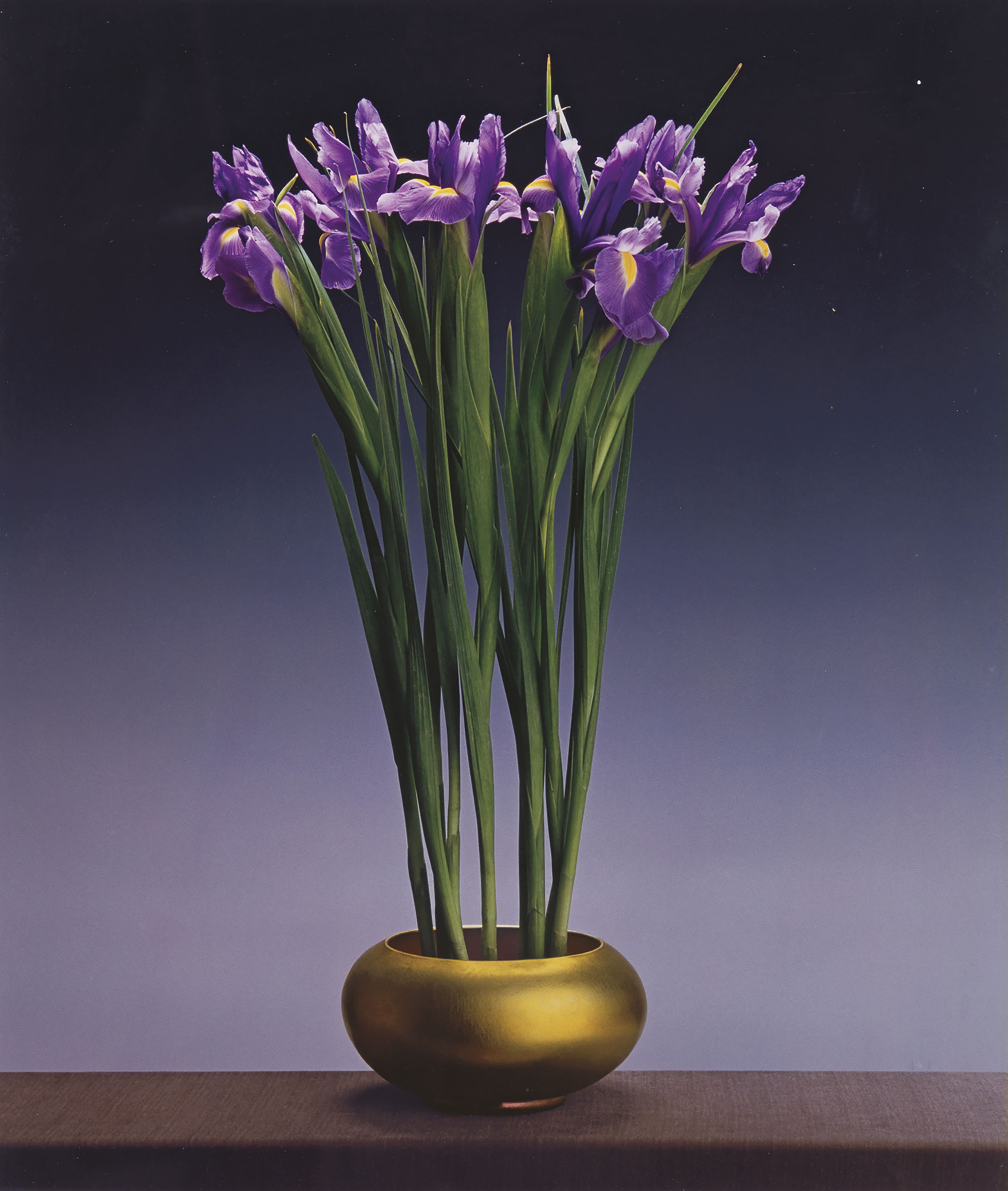 Irises, 1988