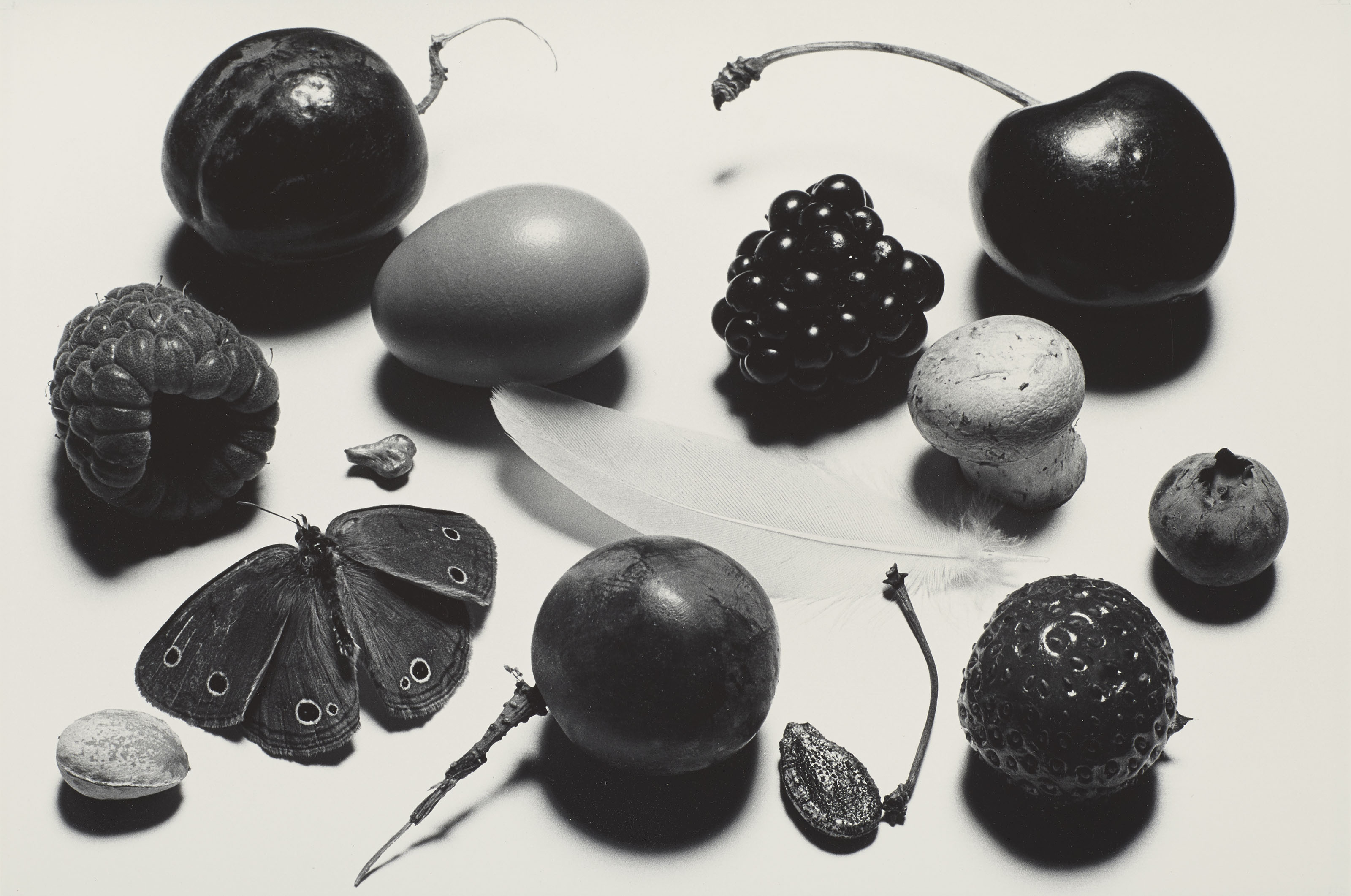 美品 STILL LIFE Irving Penn アーヴィングペン-