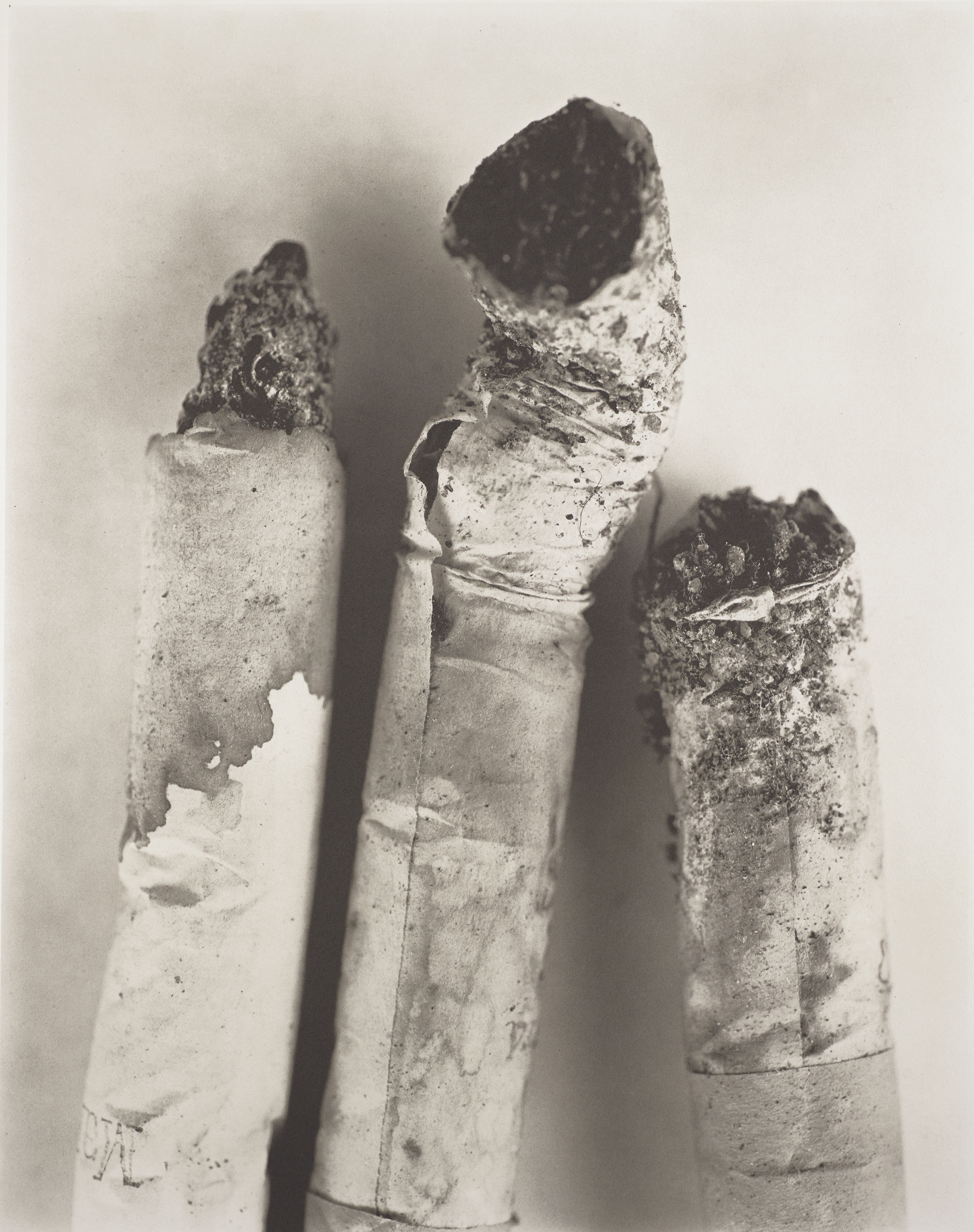 IRVING PENN (1917-2009), Aphrodisiacs, New York, 1997 | Christie's