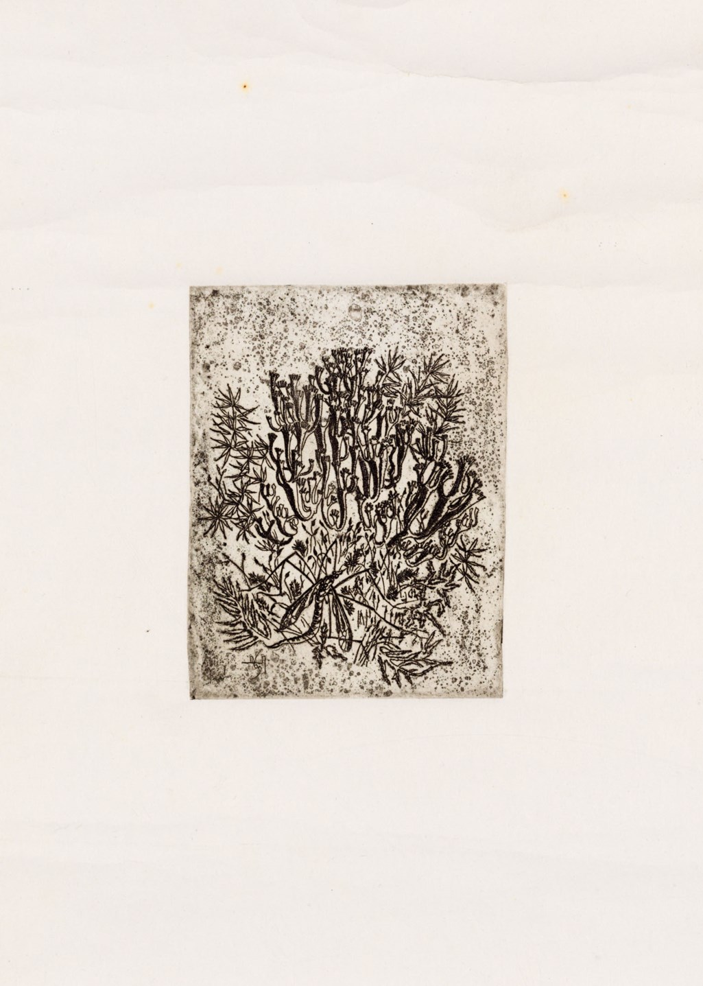 DMITRI PLAVINSKY (19372012), Cosmic leaf; Iris; and Twelve etchings