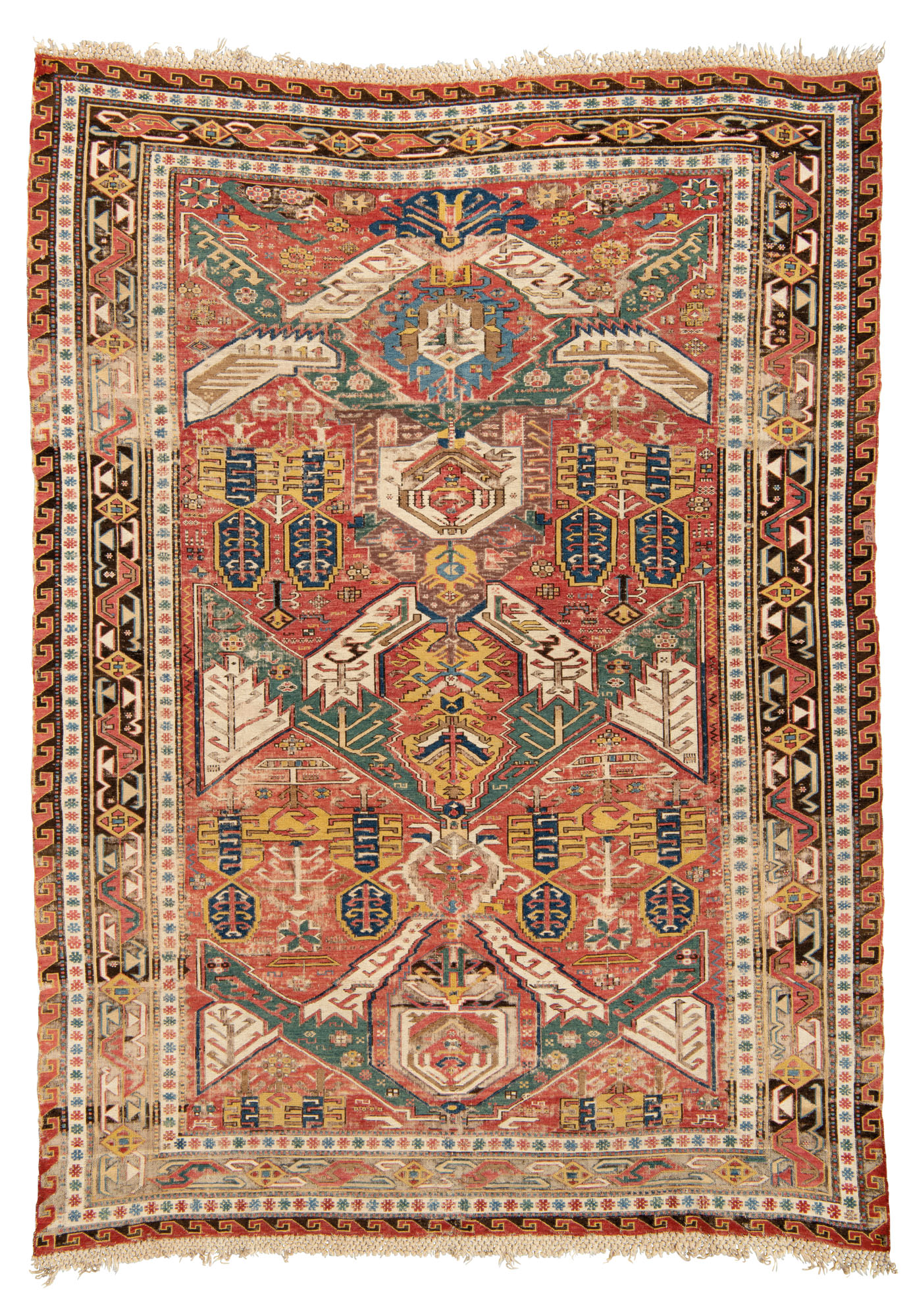 Mushuk sharbatini ichish video