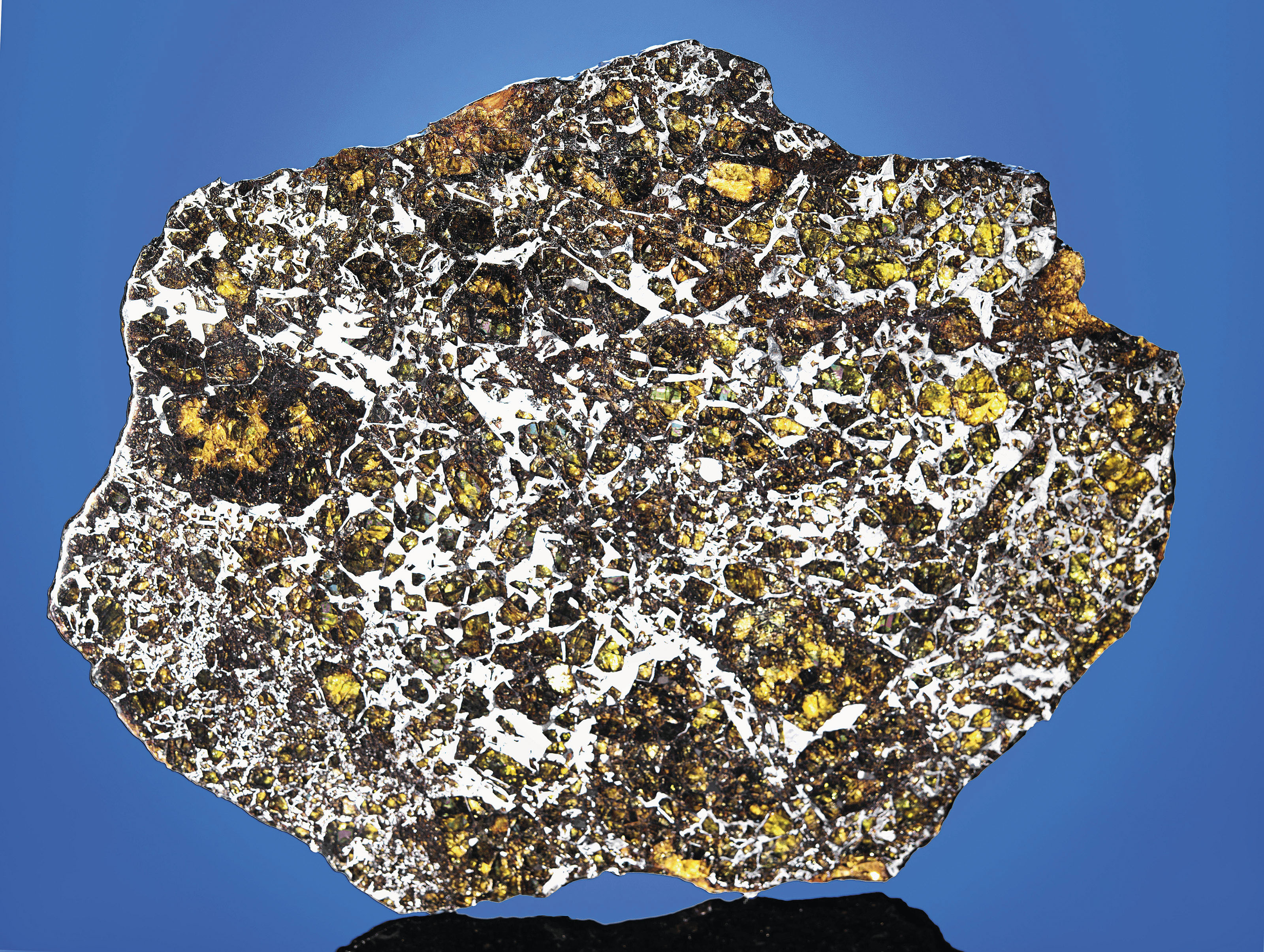 A COMPLETE SLICE OF ADMIRE METEORITE Pallasite PMGLyon County