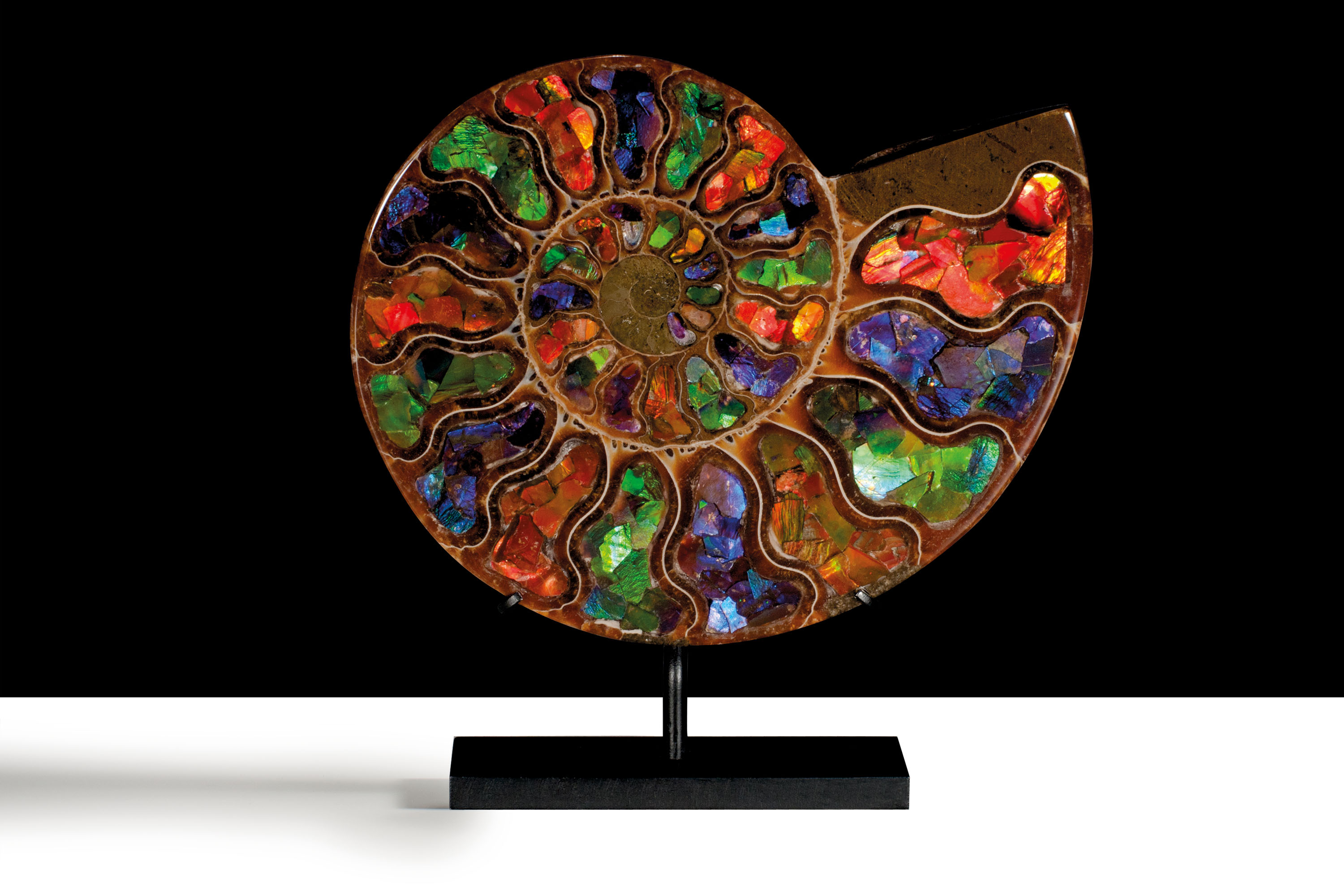 AN INLAID AMMONITE, MADAGASCAR | Christie’s