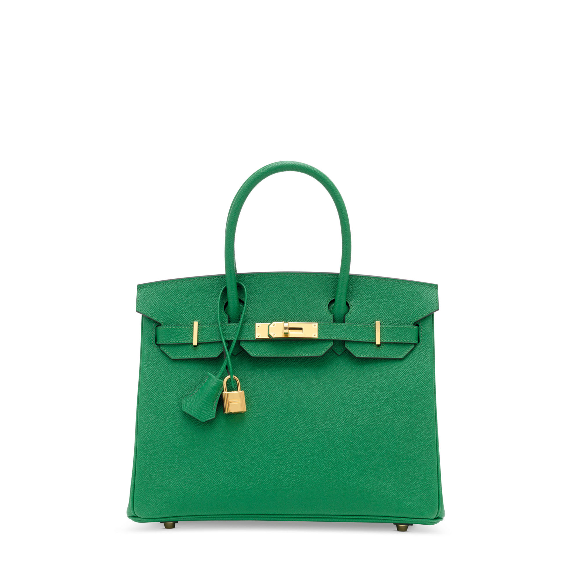 Hermes Birkin 25 Bag in Cactus Swift Leather with Gold Hardware