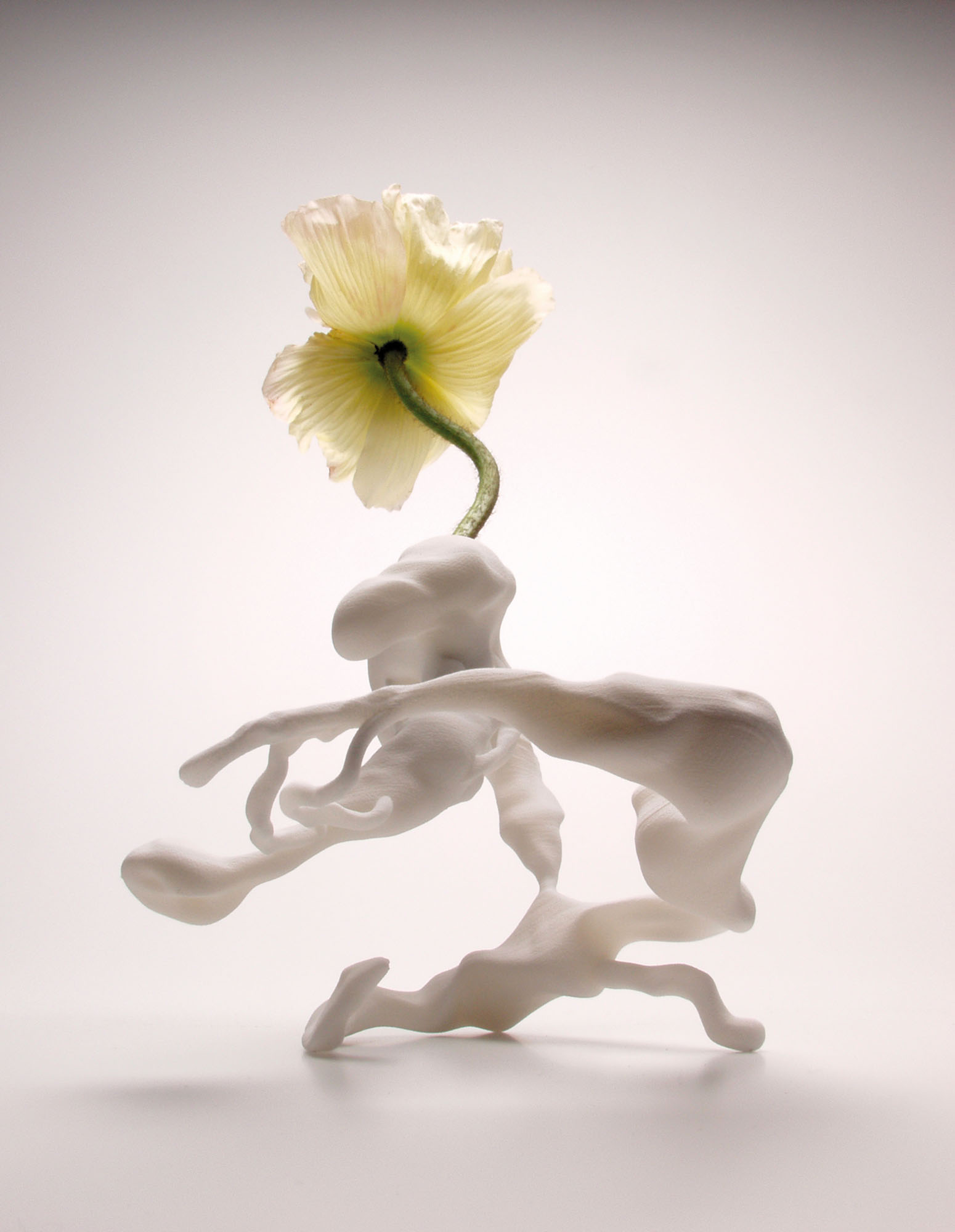 MARCEL WANDERS (B. 1963), Coryza (Airborne Snotty Vase) | Christie's