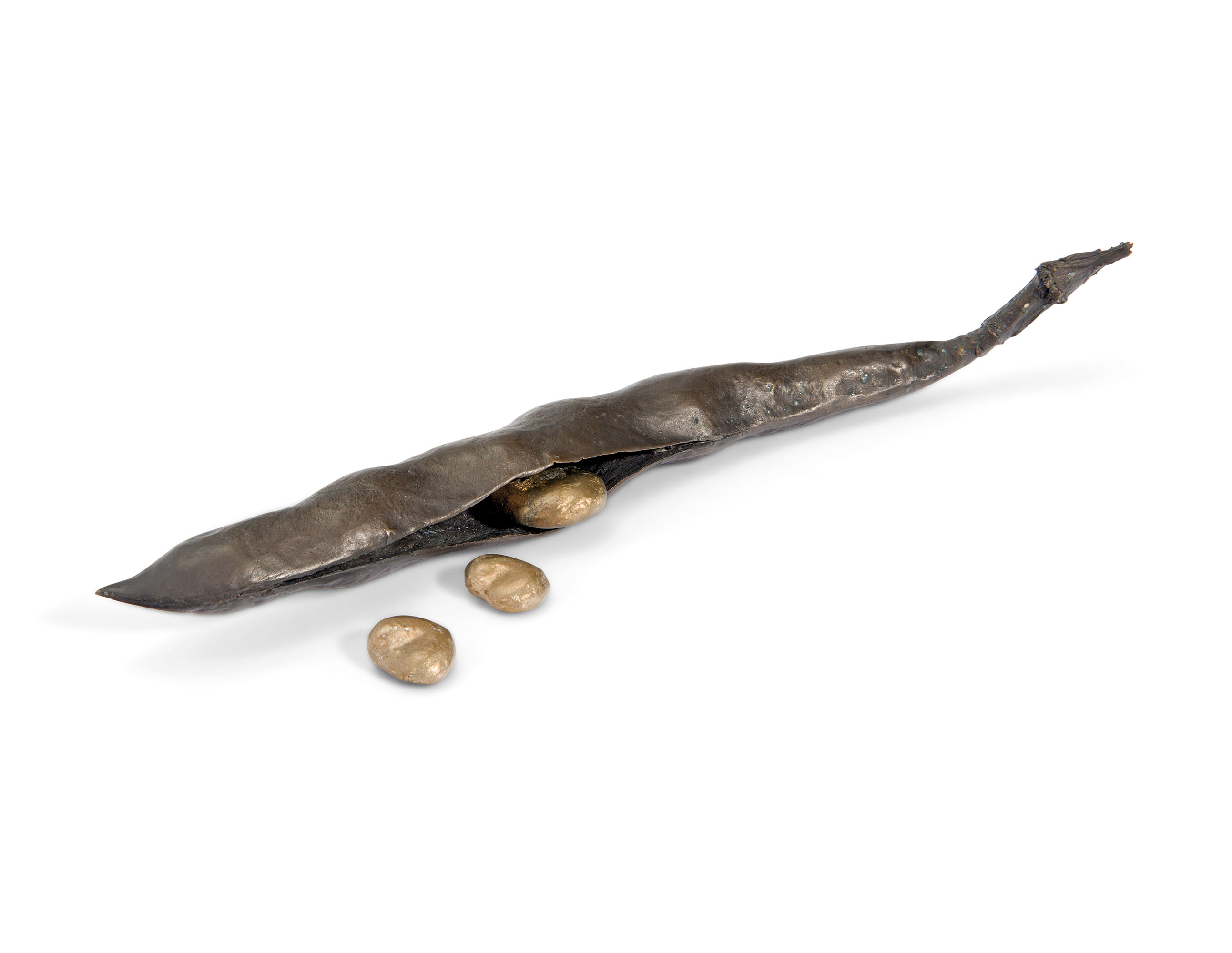 Catalog image of broad bean with three loose beans; two smaller than the third, to hold