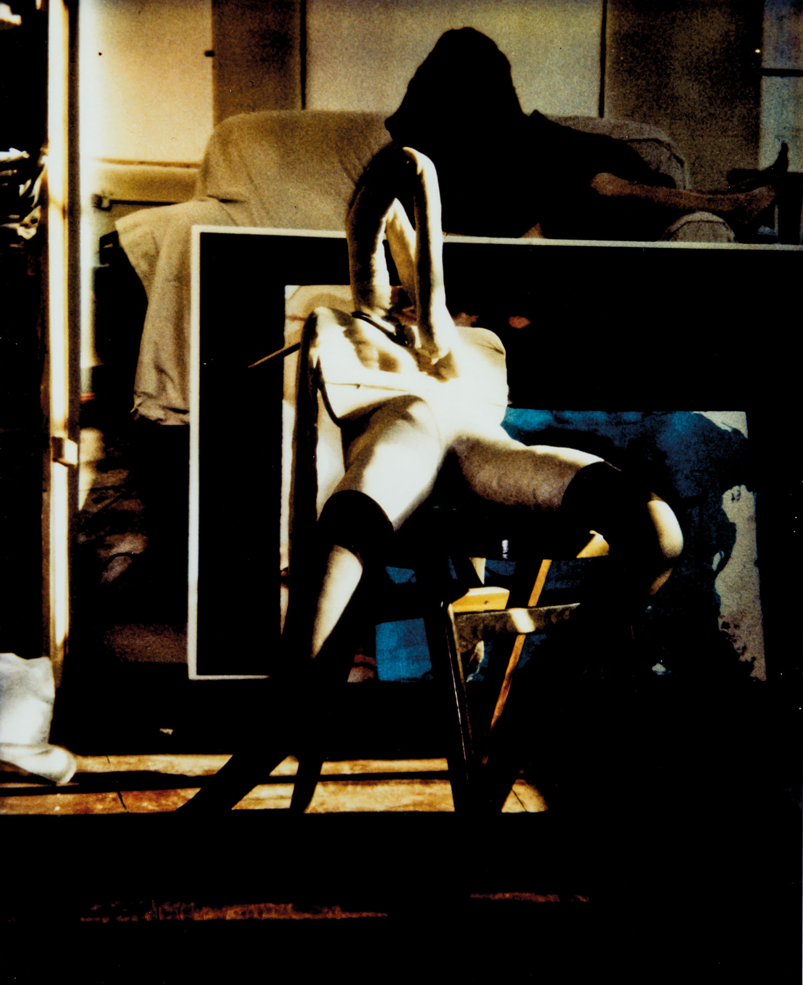 Catalog image of Polaroid Bunny #2