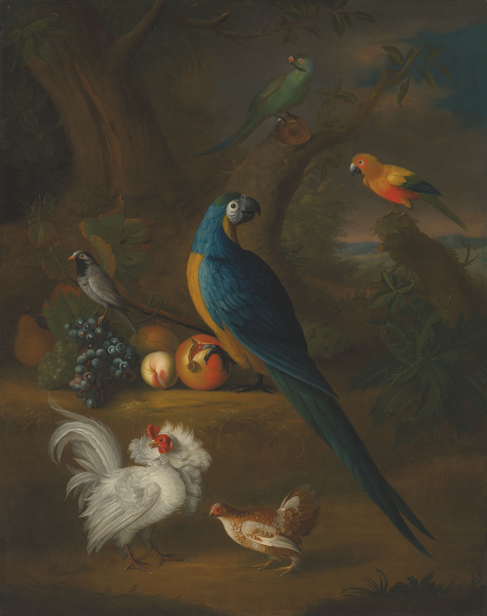 Leonard Hubner Berlin 1694 1769 Norwich A Macaw And Other Birds In A Landscape Christie S