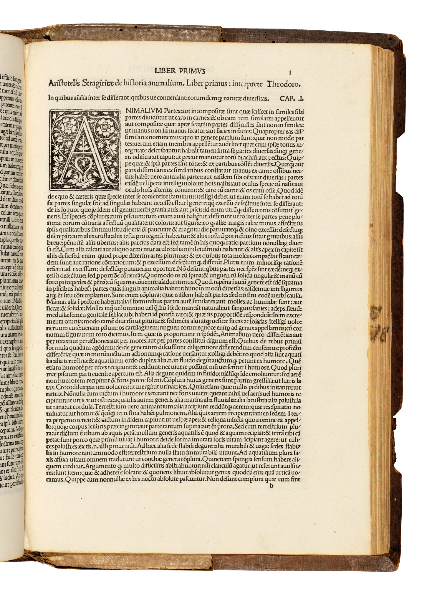 Complete Works of Pliny the Elder by Pliny the Elder