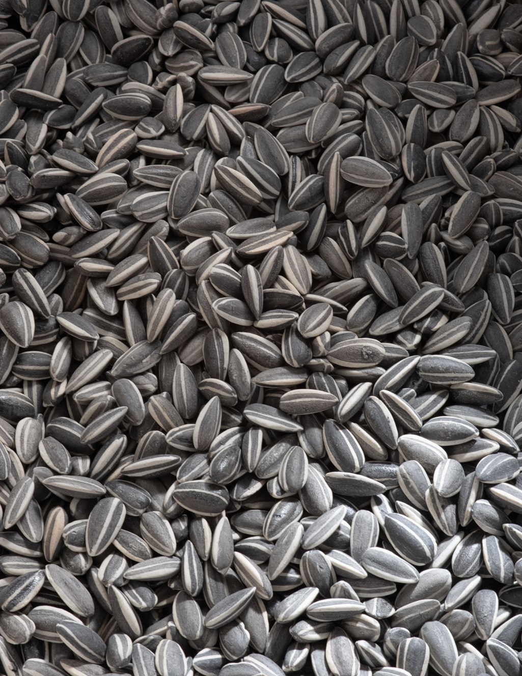 AI WEIWEI (B. 1957), Kui hua zi (Sunflower seeds) Christie’s