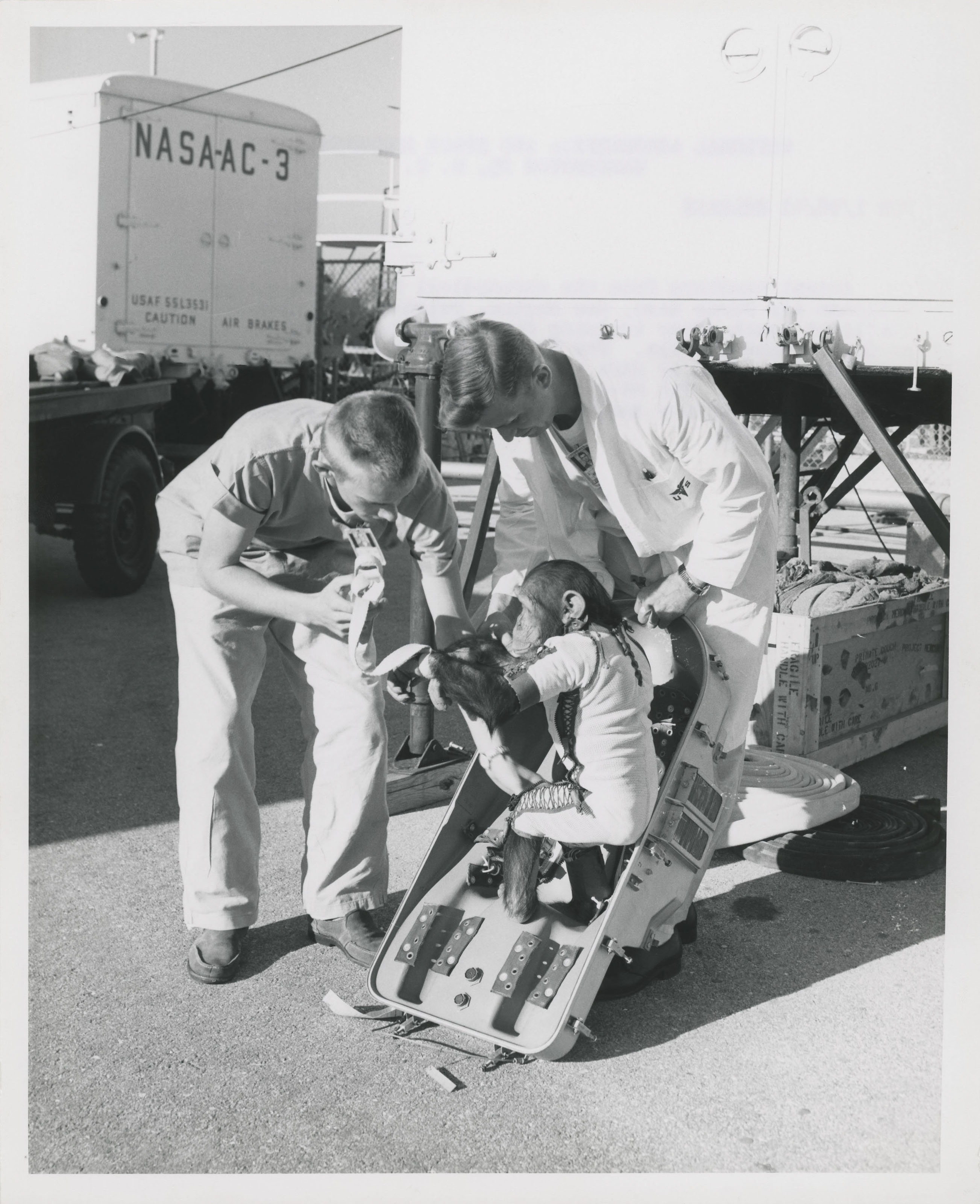 The chimpanzee Ham and his suborbital space mission, including in