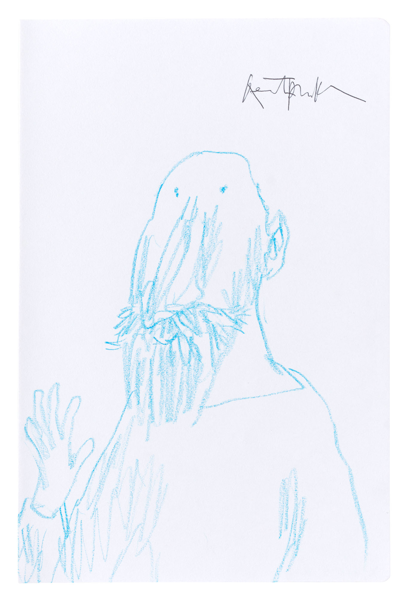 Catalog image of Facial hair #6