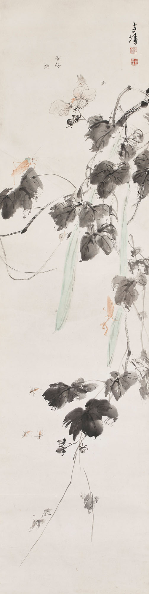 Catalog image of Insects and Vegetables