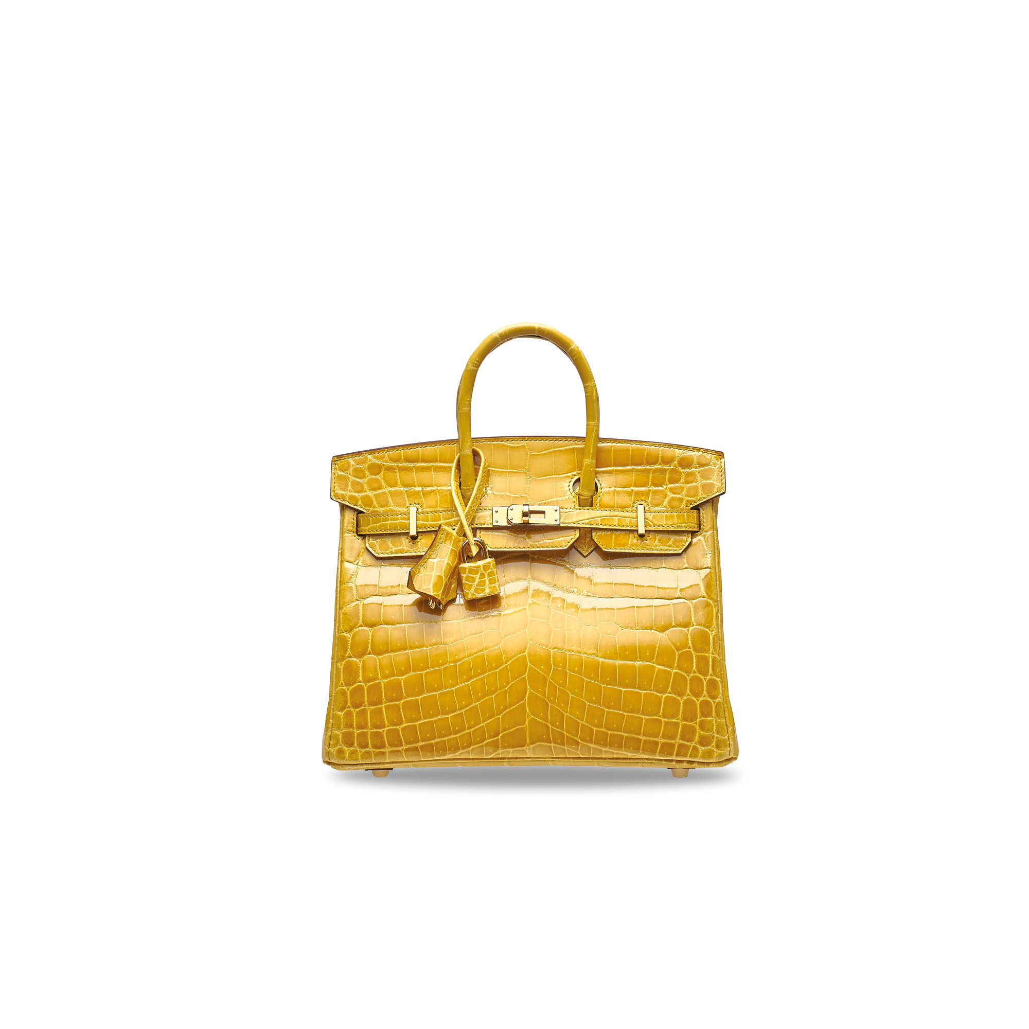 Hermès Birkin 25 Crocodile Niloticus Cocoan