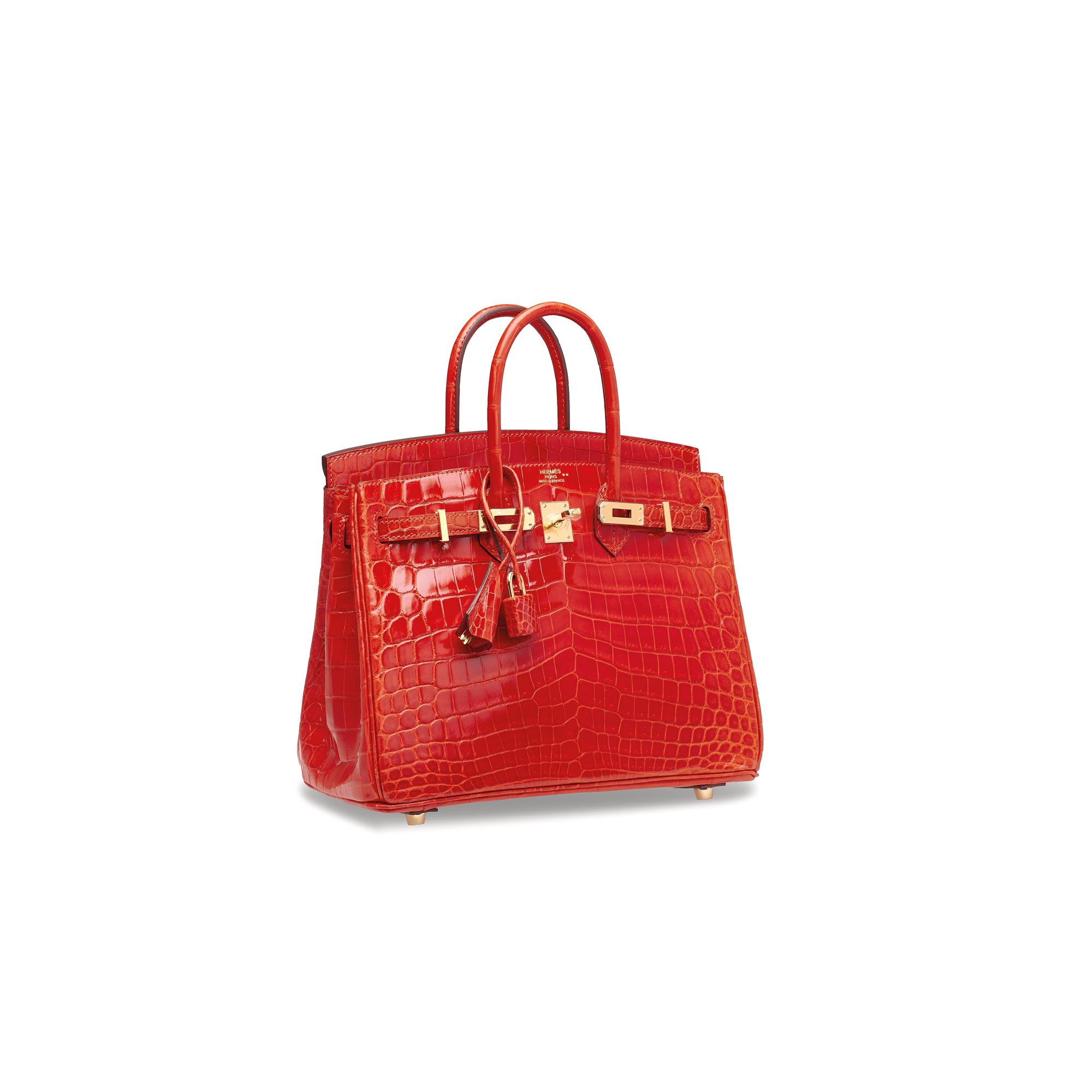 Hermes Birkin 25 Shiny Crocodile and Togo Bag