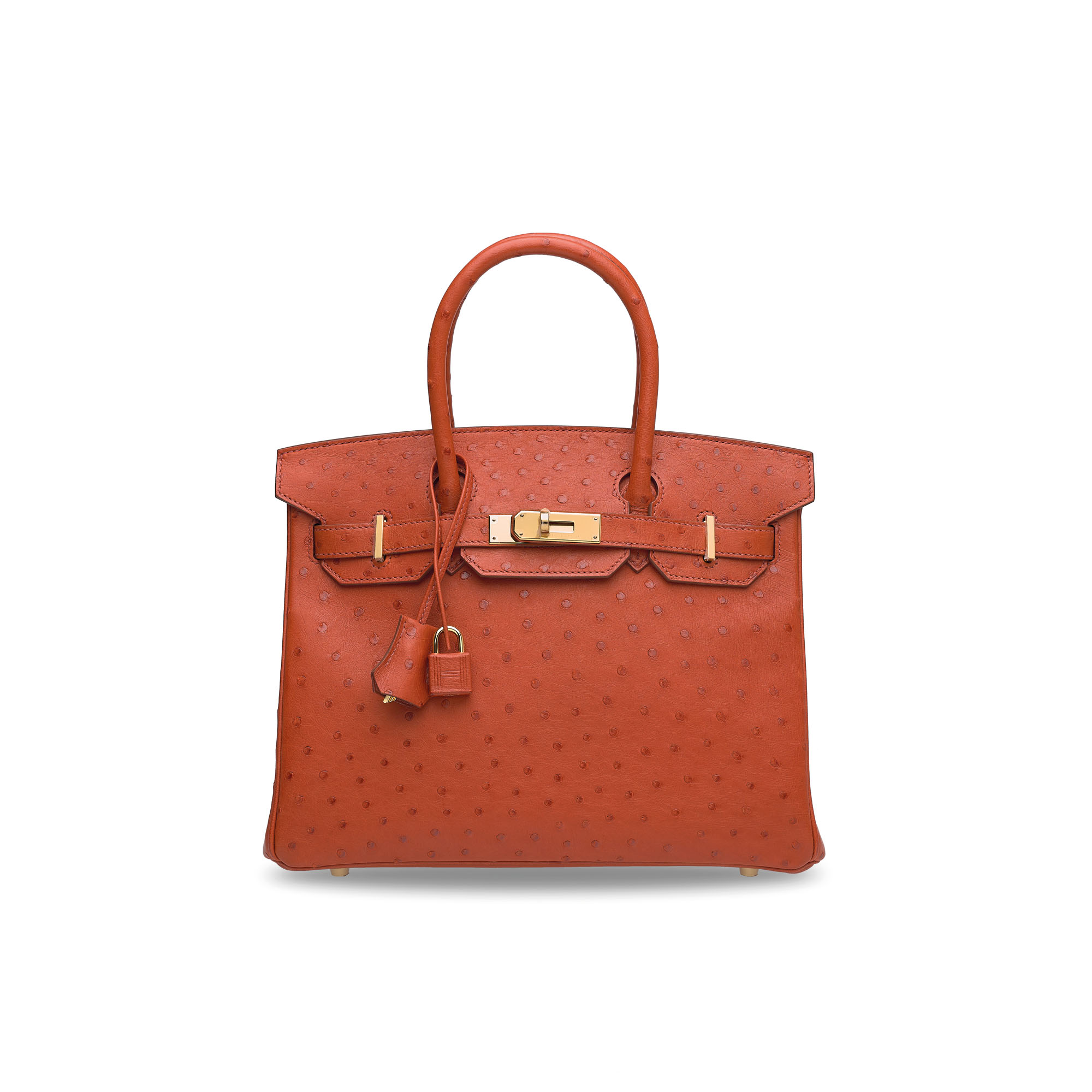 hermes brique birkin