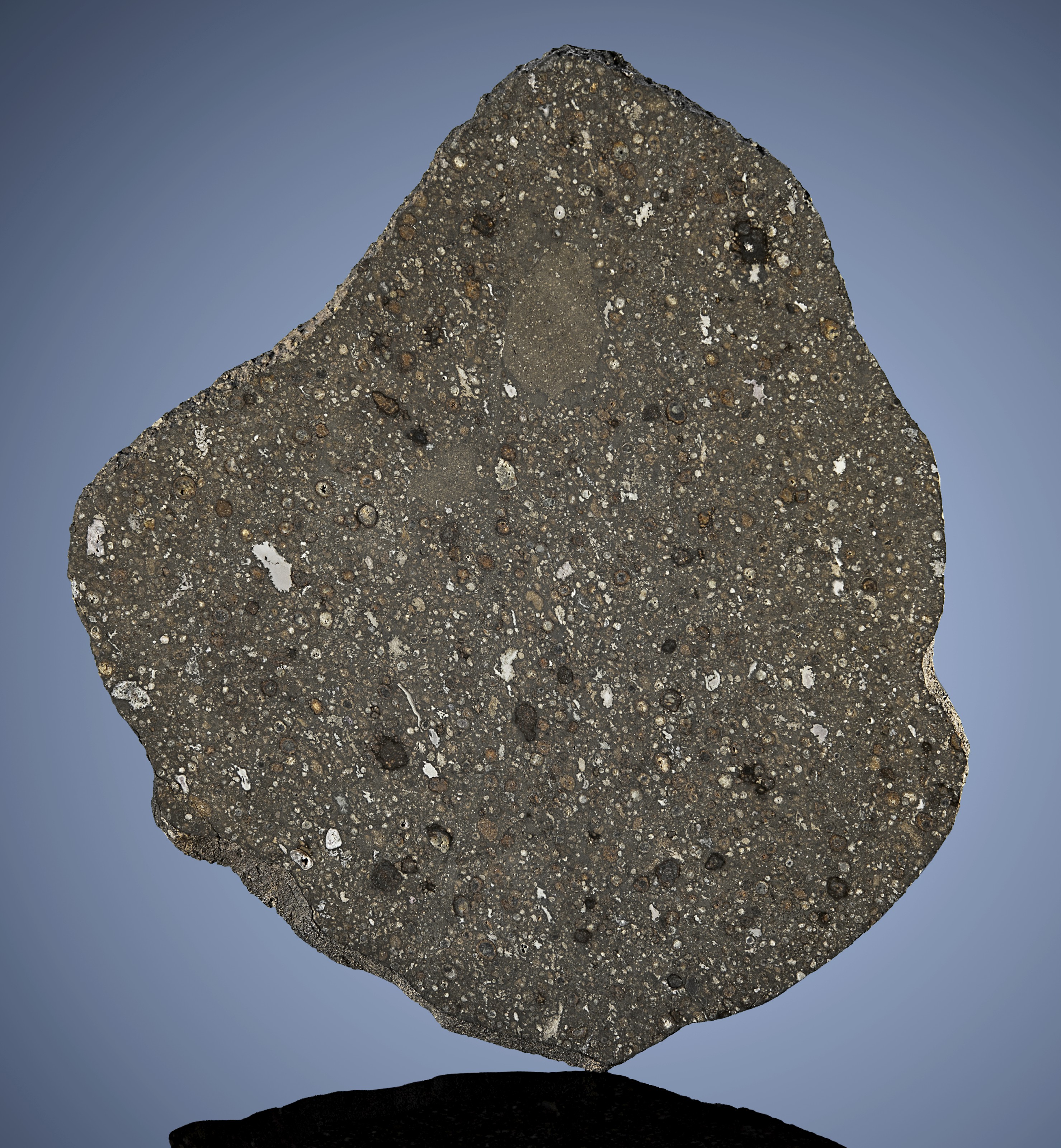 ALLENDE METEORITE COMPLETE SLICE — FEATURING SOME OF THE OLDEST