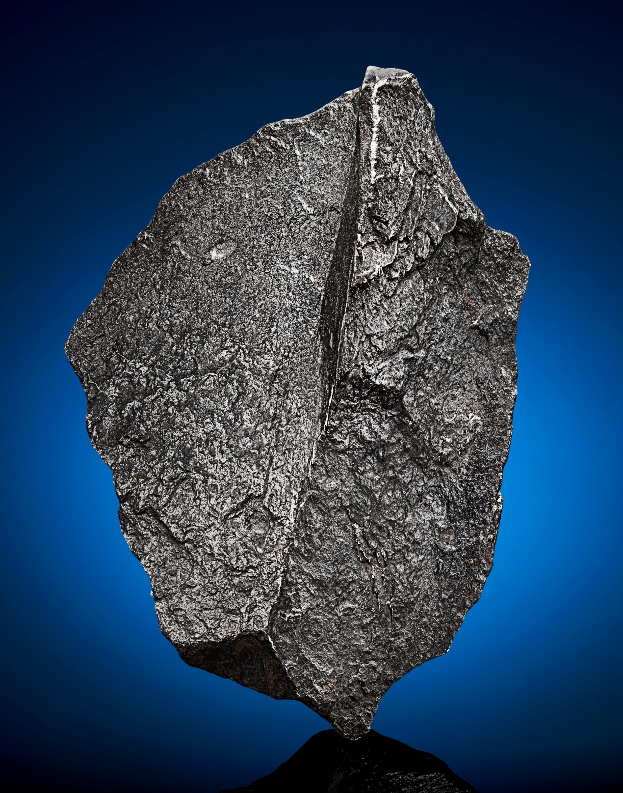 GIBEON METEORITE CRYSTALLINE FRAGMENT INTERIOR AND EXTERIOR REVEALED