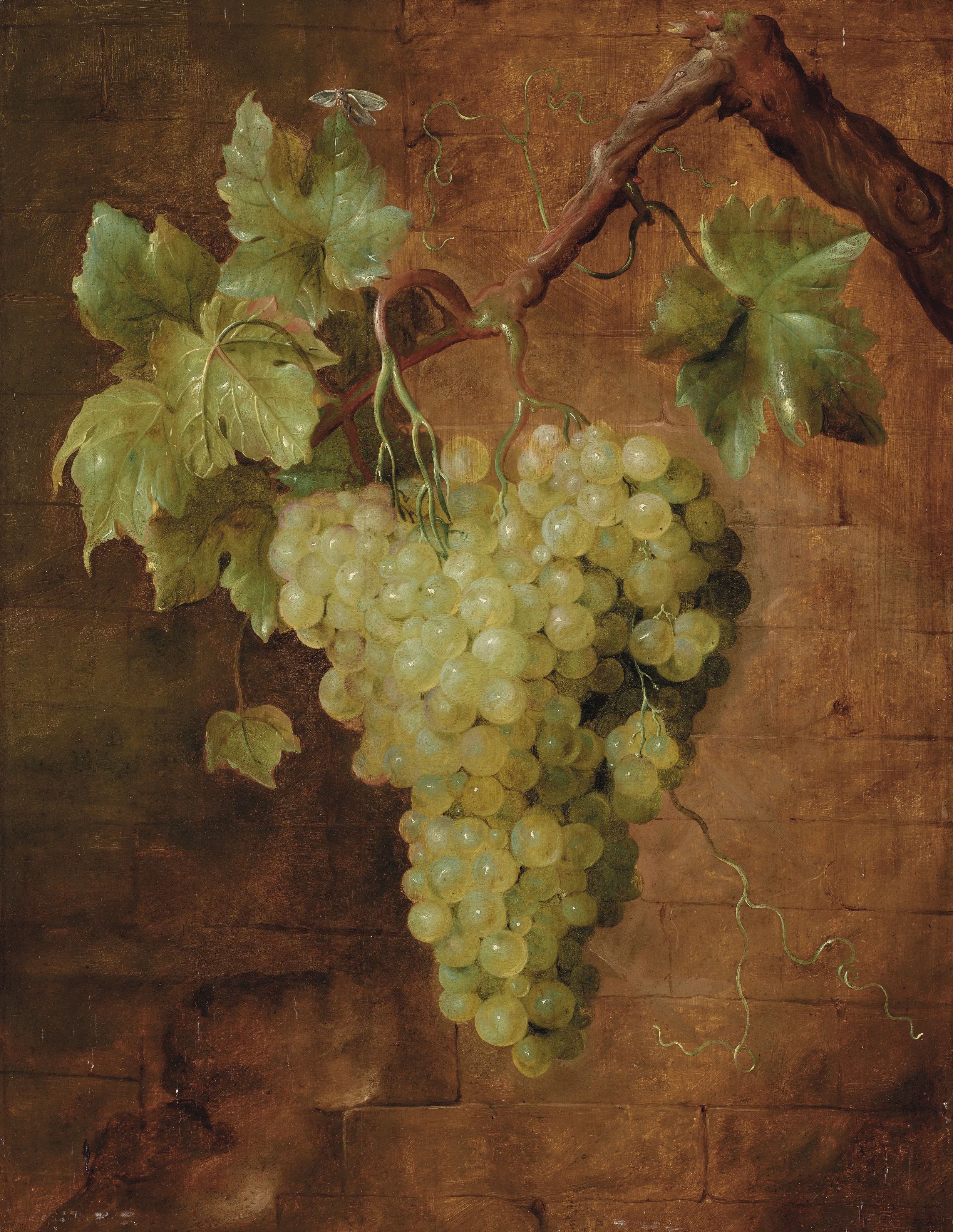 FRENCH SCHOOL, 18TH CENTURY, Grapes on a vine with a moth