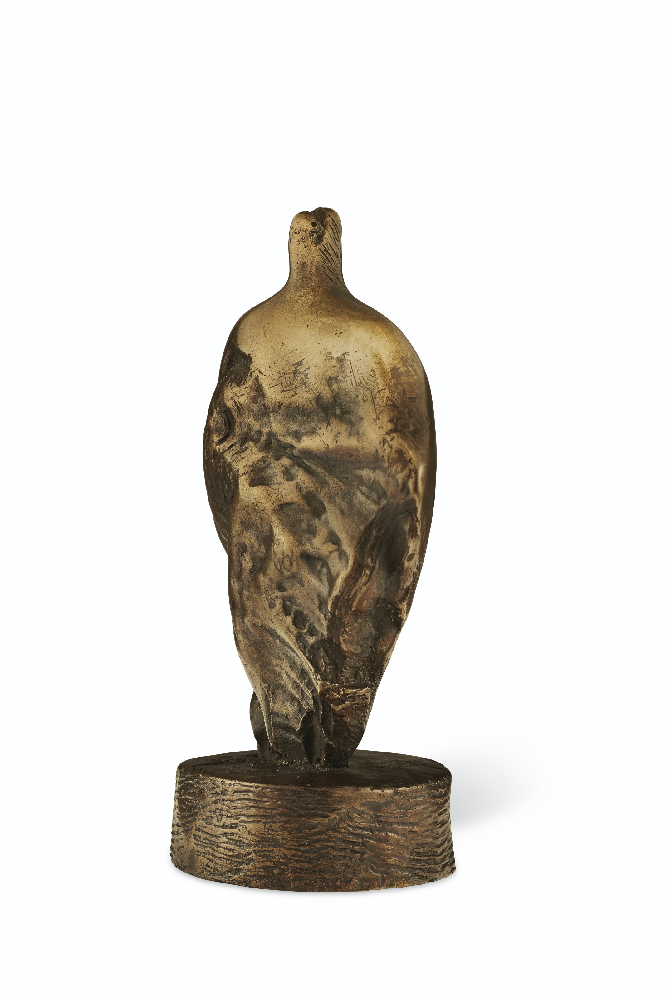 Draped Torso