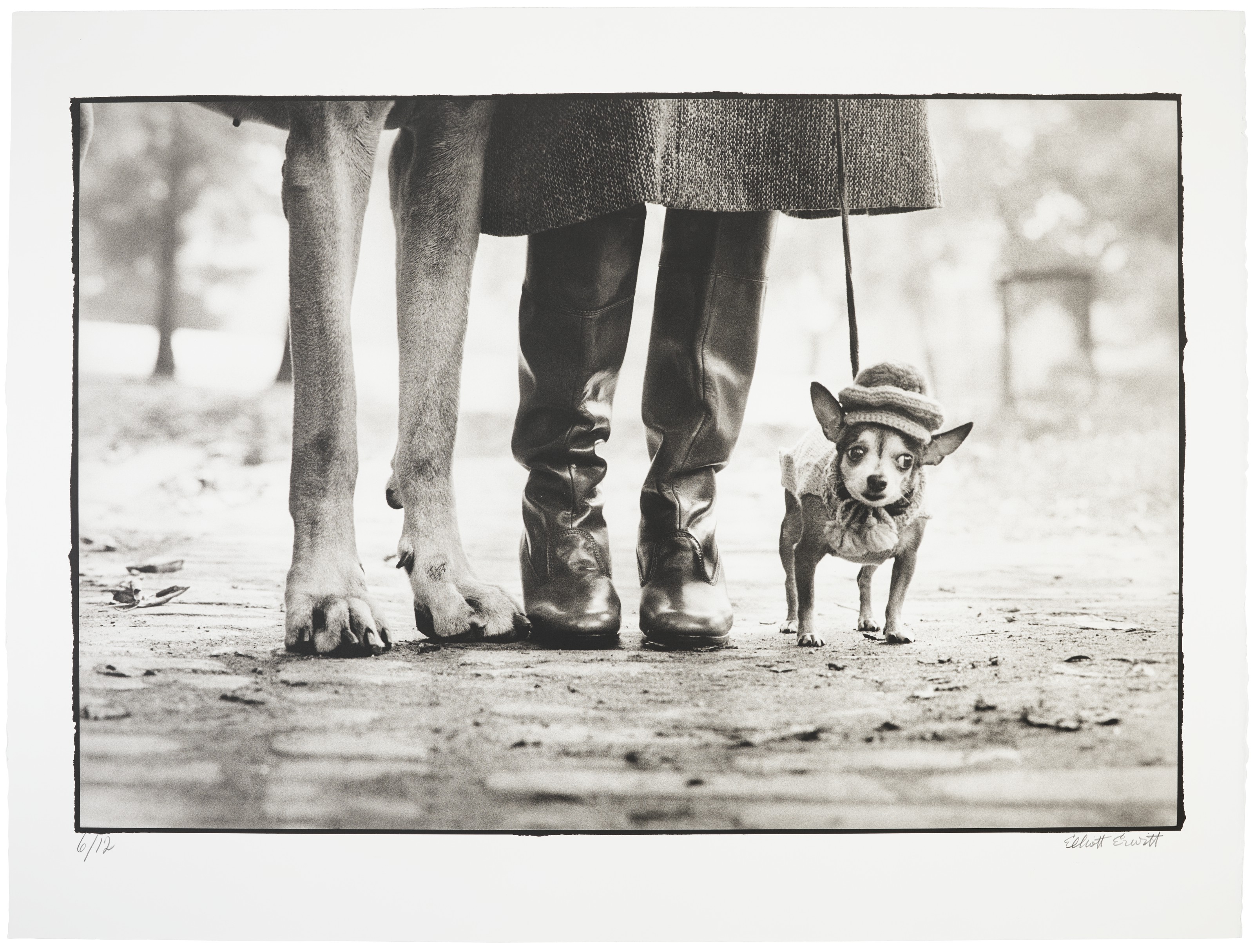 ELLIOTT ERWITT (B. 1928), New York City, 1974 | Christie's