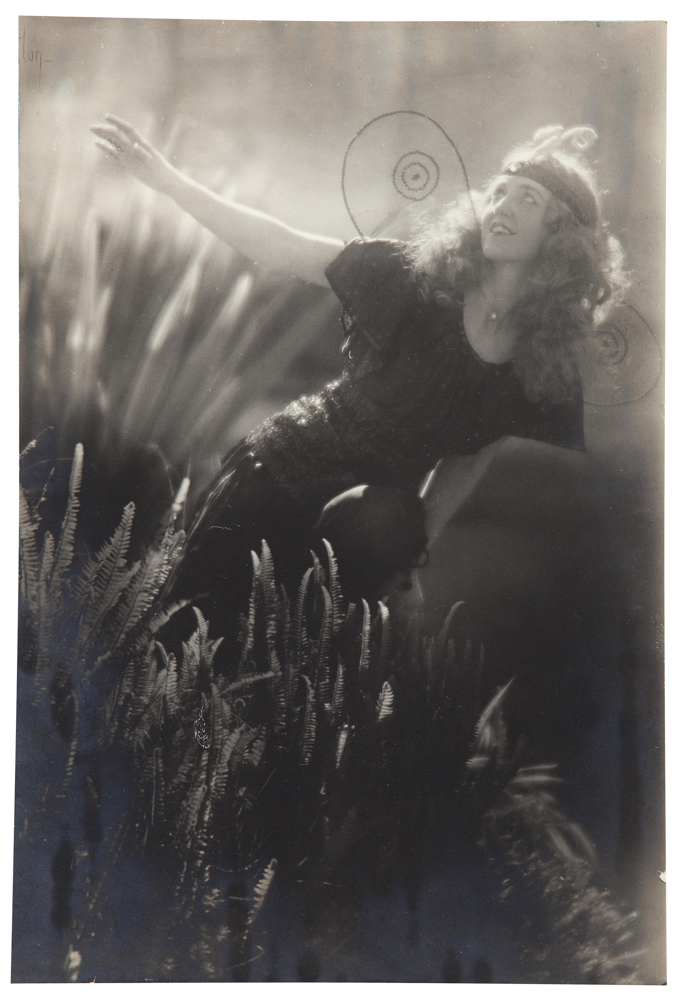 Edward Weston 写真集 Edward Weston, His Life and Photographs | Edward Weston