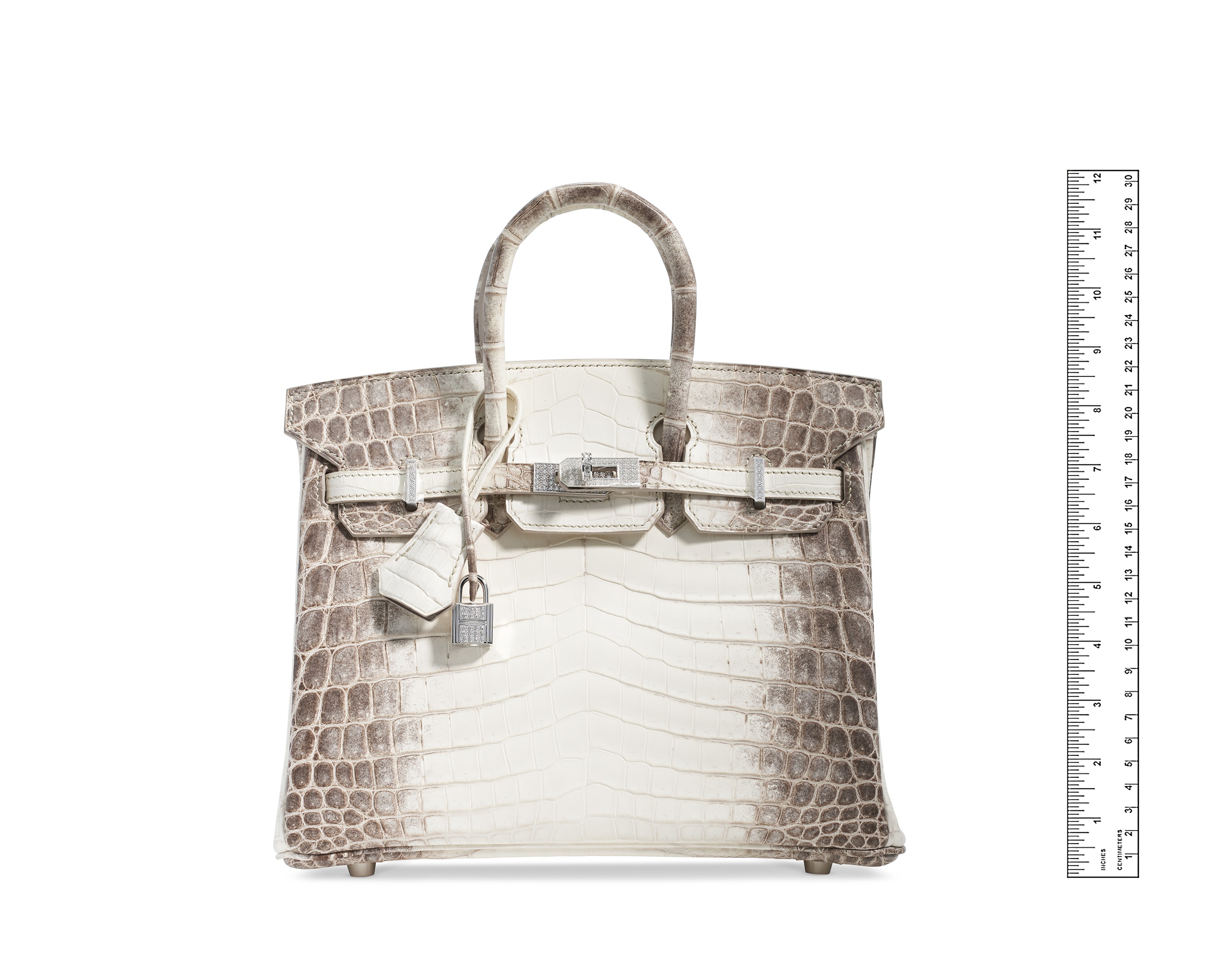 Himalayan crocodile cheap birkin with diamonds