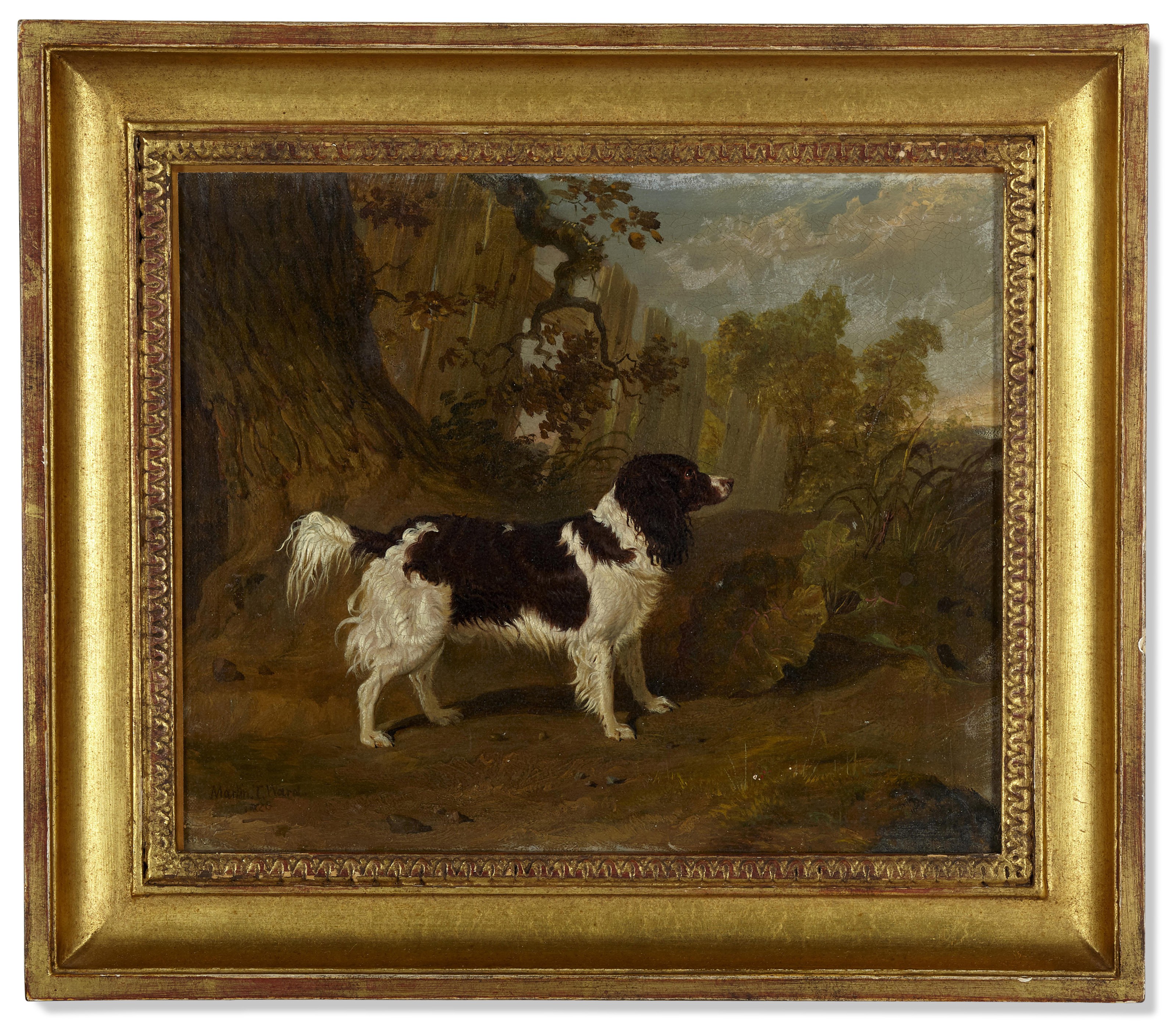 Catalog image of Portrait of a Dog