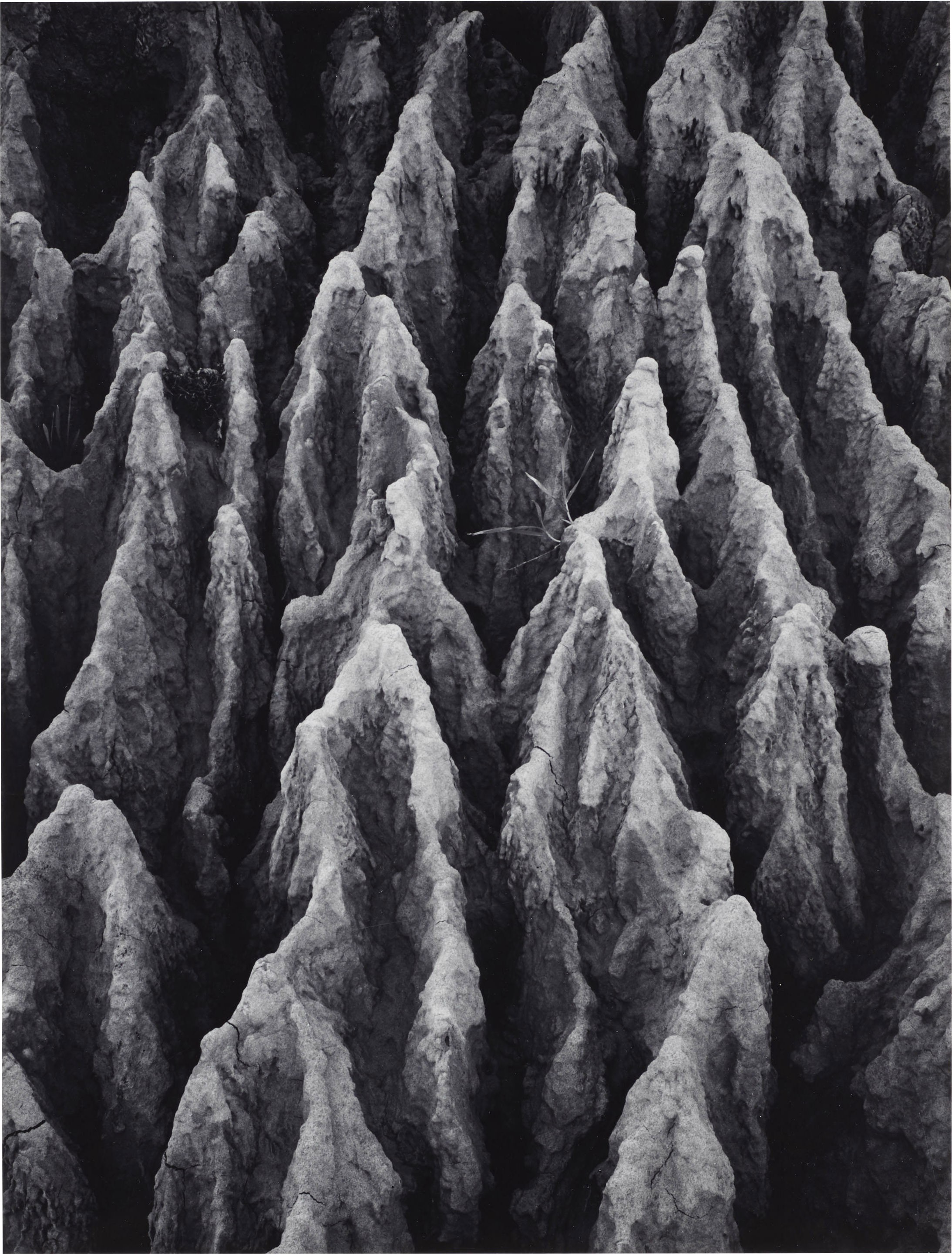 ANSEL ADAMS (1902–1984), Erosion – Irvine, Southern California