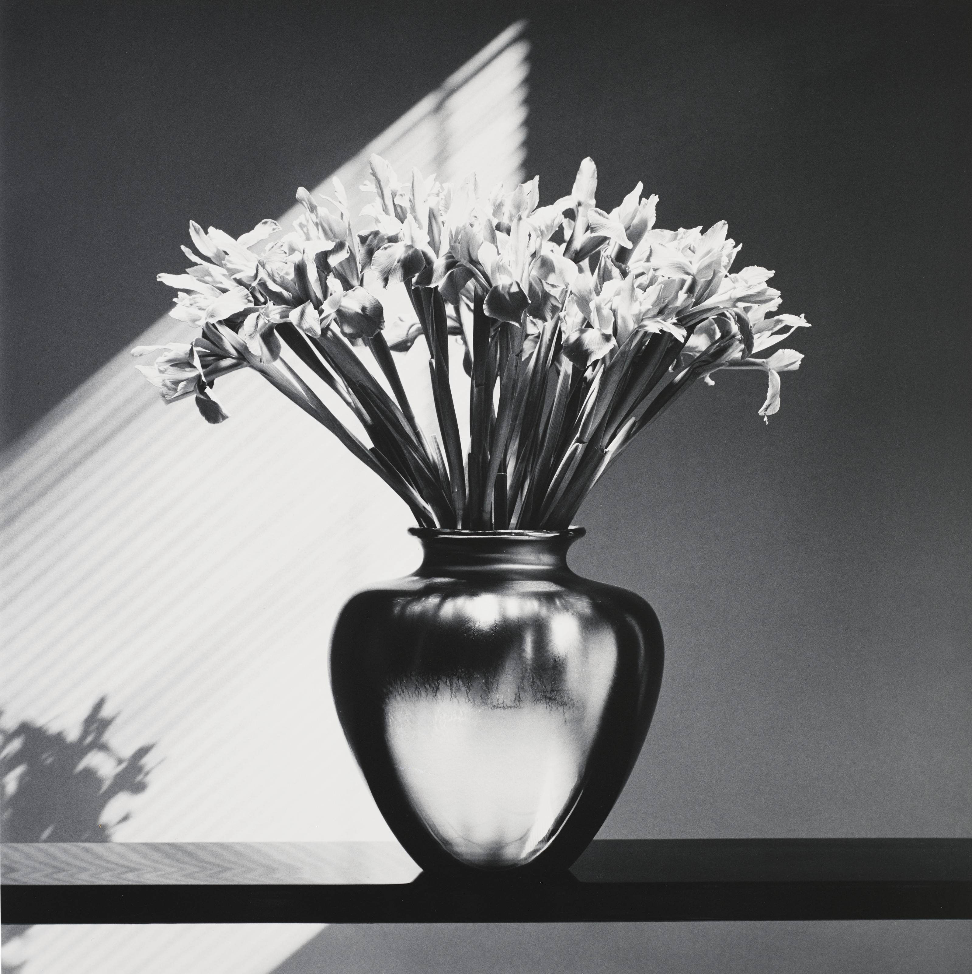 ROBERT MAPPLETHORPE (1946–1989), Irises, 1986 | Christie’s