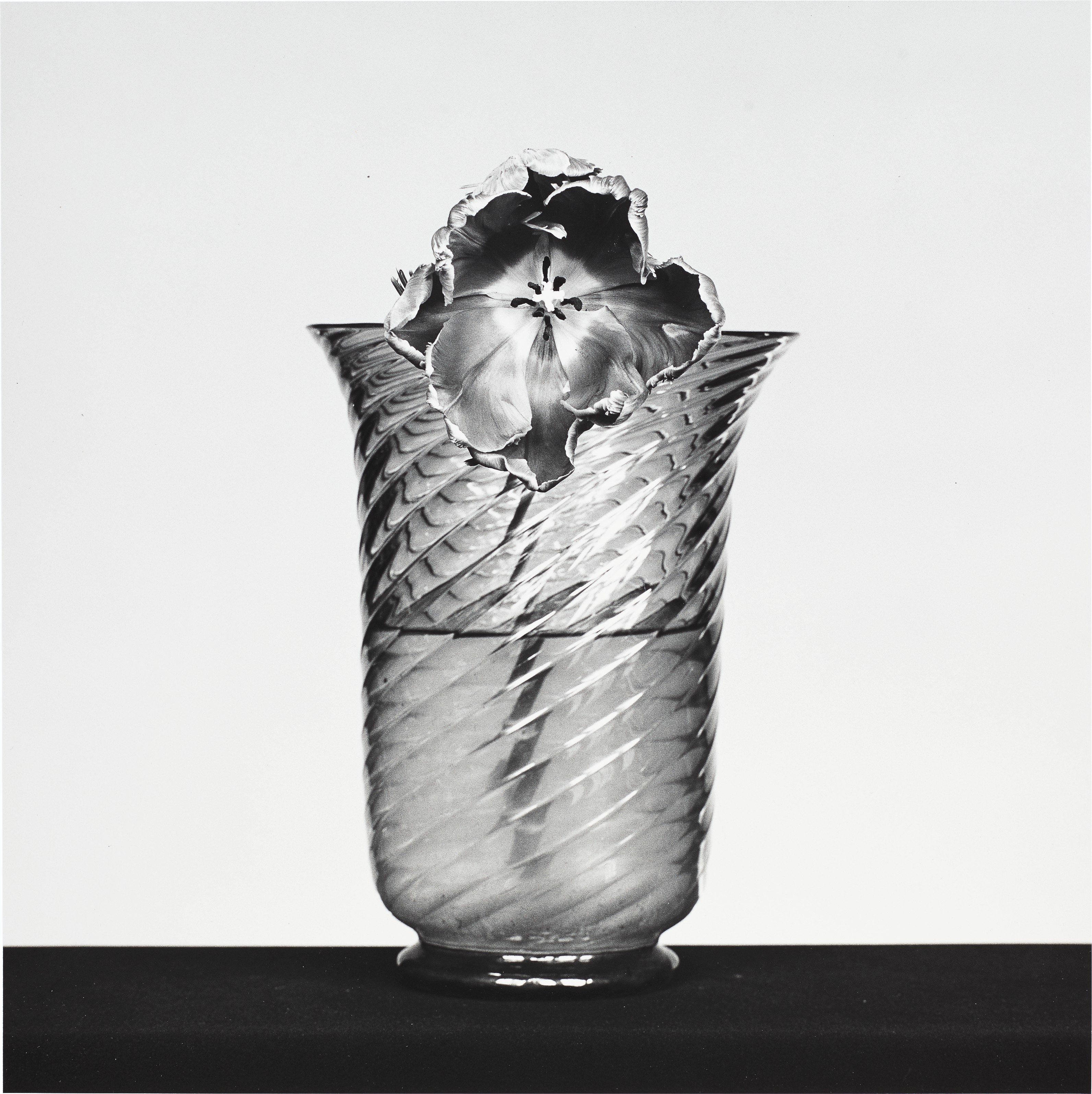 ROBERT MAPPLETHORPE (1946–1989), Flower, 1983 | Christie's