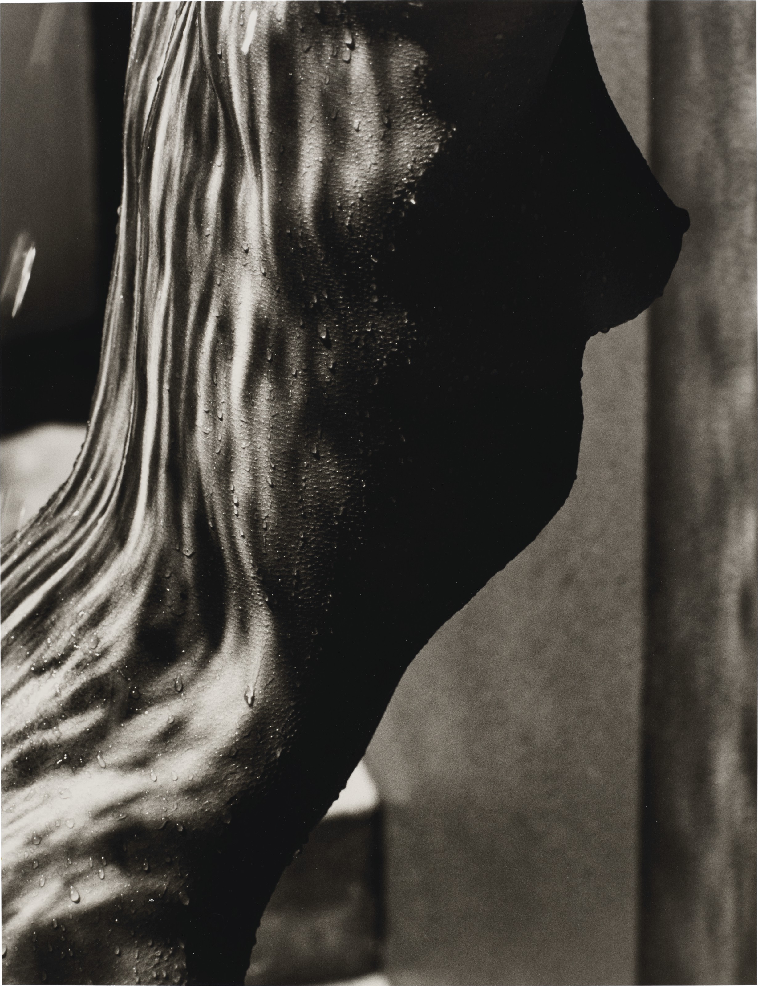 HERB RITTS (1952–2002), Female Torso, Detail, Hollywood, 1989